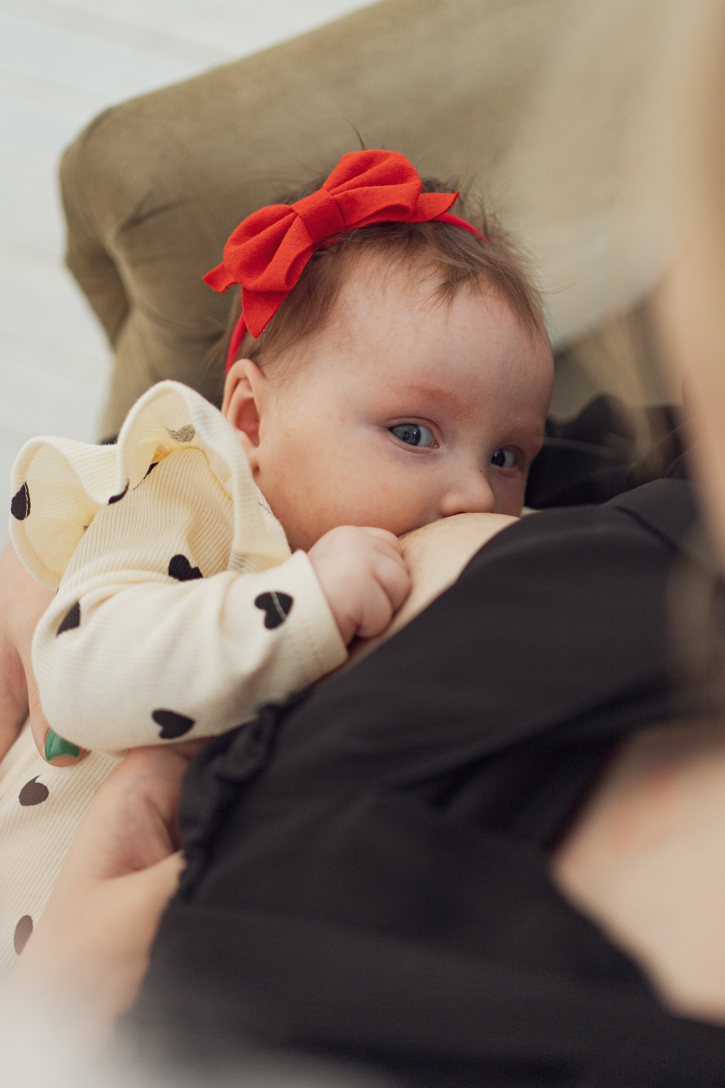 Красное бантное. Главная