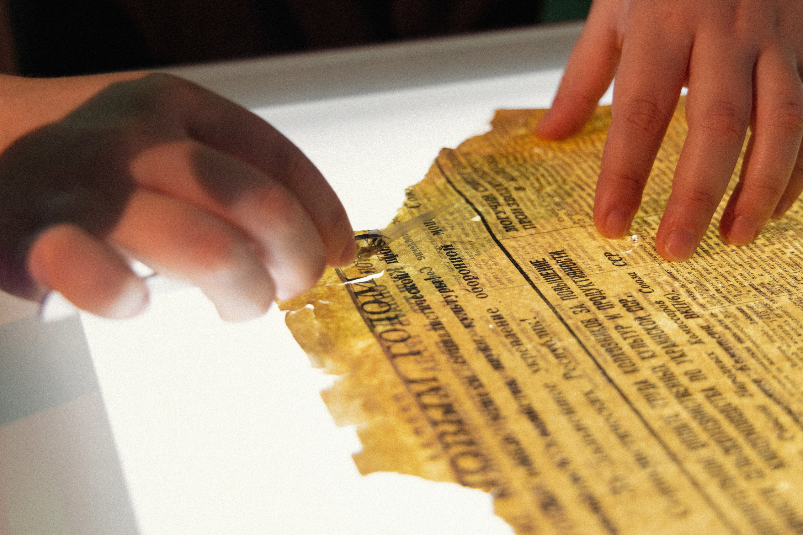 НГОНБ 95 лет. Фотограф НСК-Кем-СПБ Александра Фомич