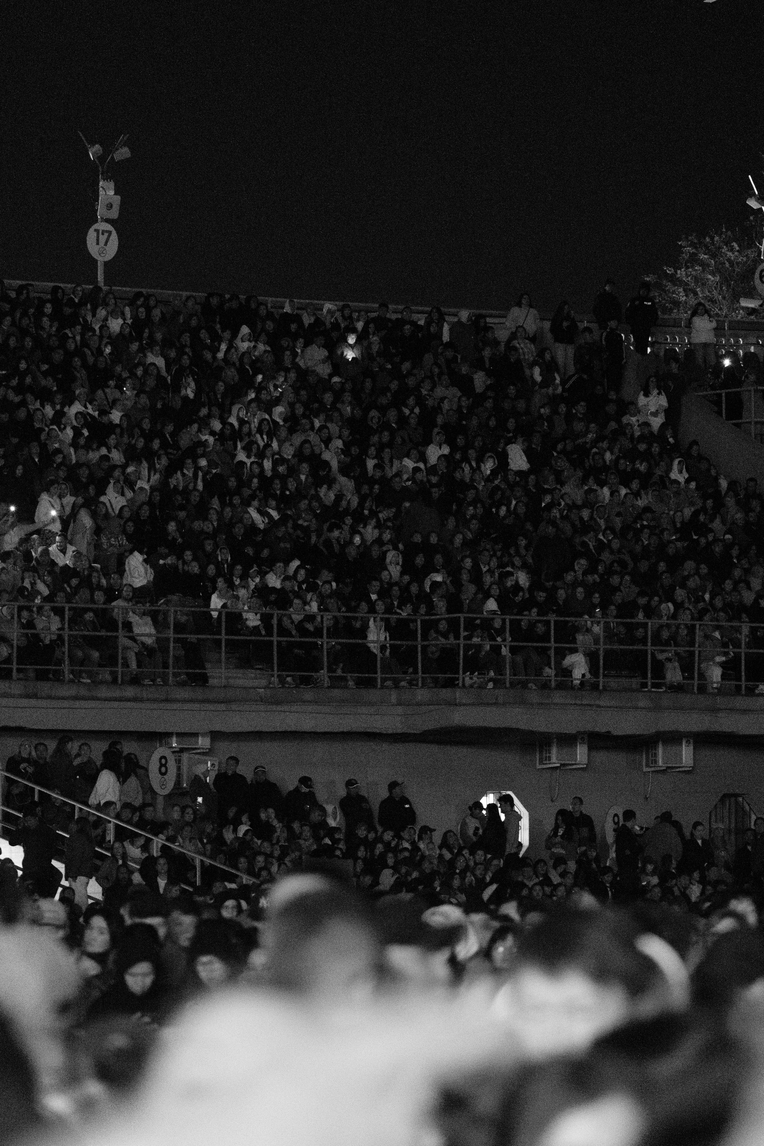 BackStreetBoys. Свадебный фотограф Алматы