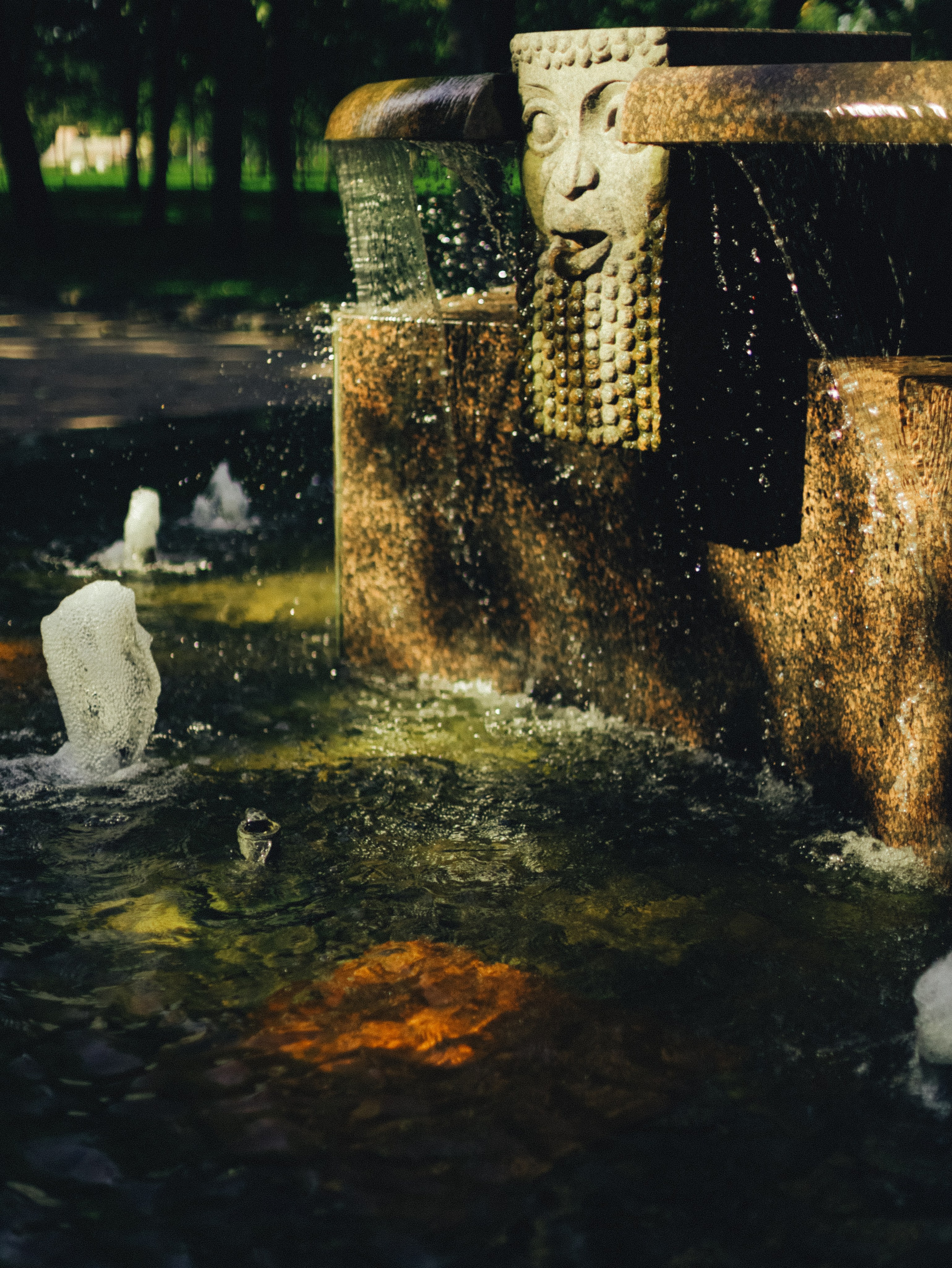 Природа &. Фотохудожник в СПб