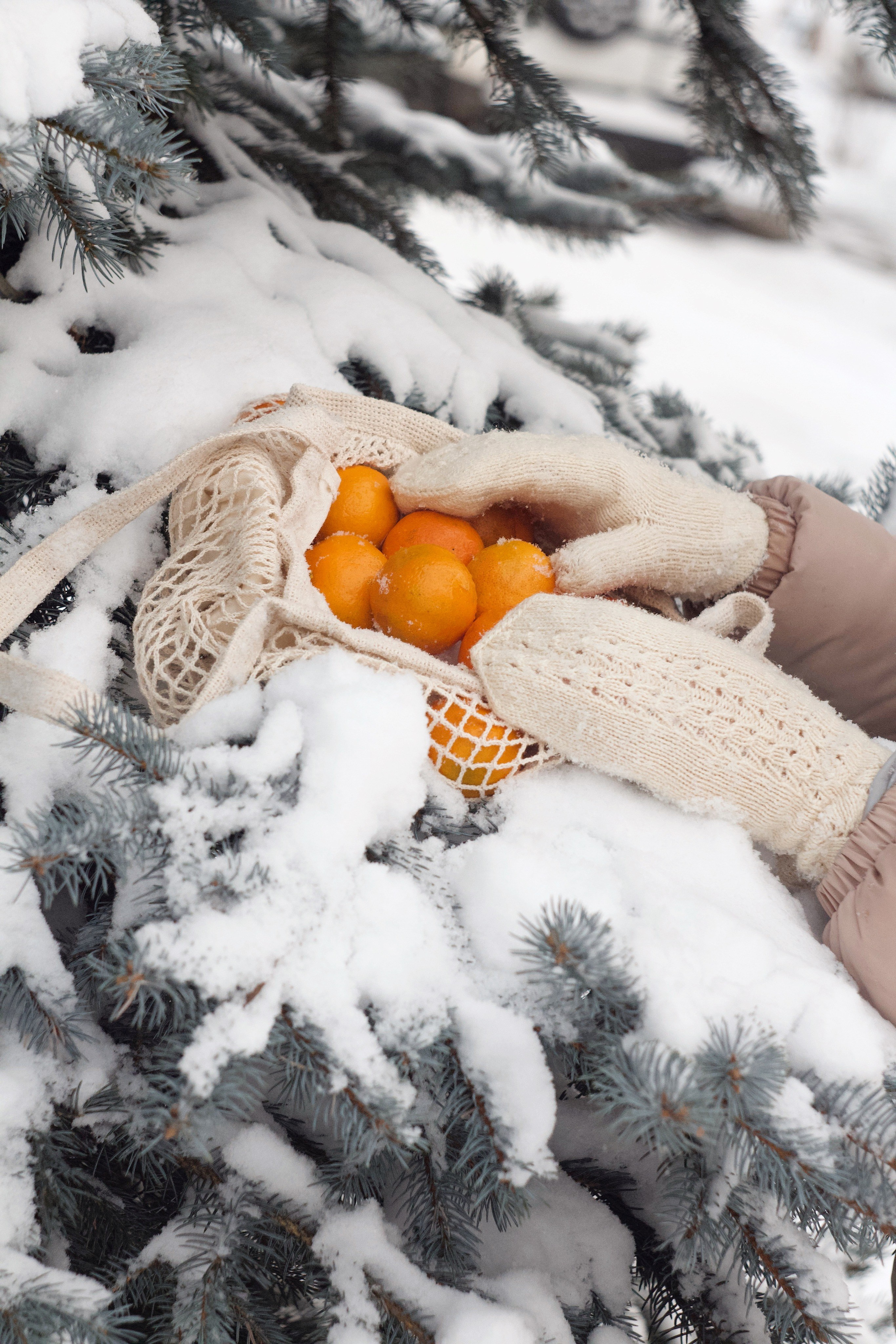 Зимний январь. Photography Eva