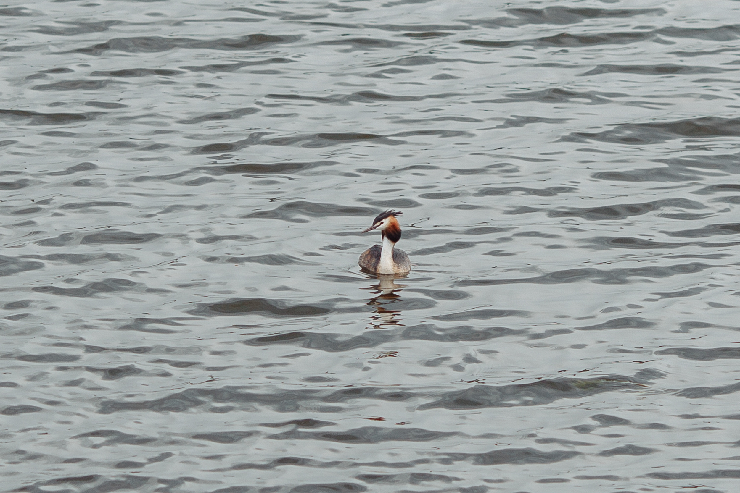 Свадебный фотограф, свадебный фотограф Станислав Петров, trend media group, свадебное фото, фотограф ижевск