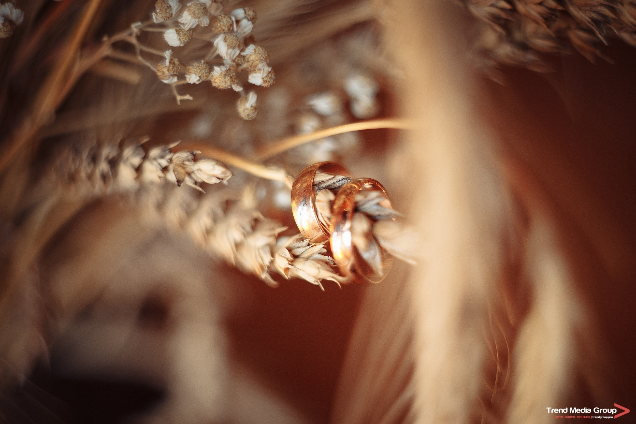 Свадебное портфолио. Фотограф Станислав Петров. Trend Media Group