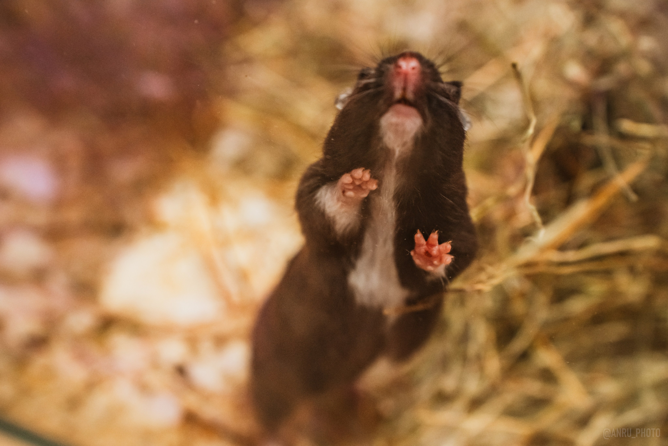 Рептилиум. Репортажный фотограф Анастасия Рубцова