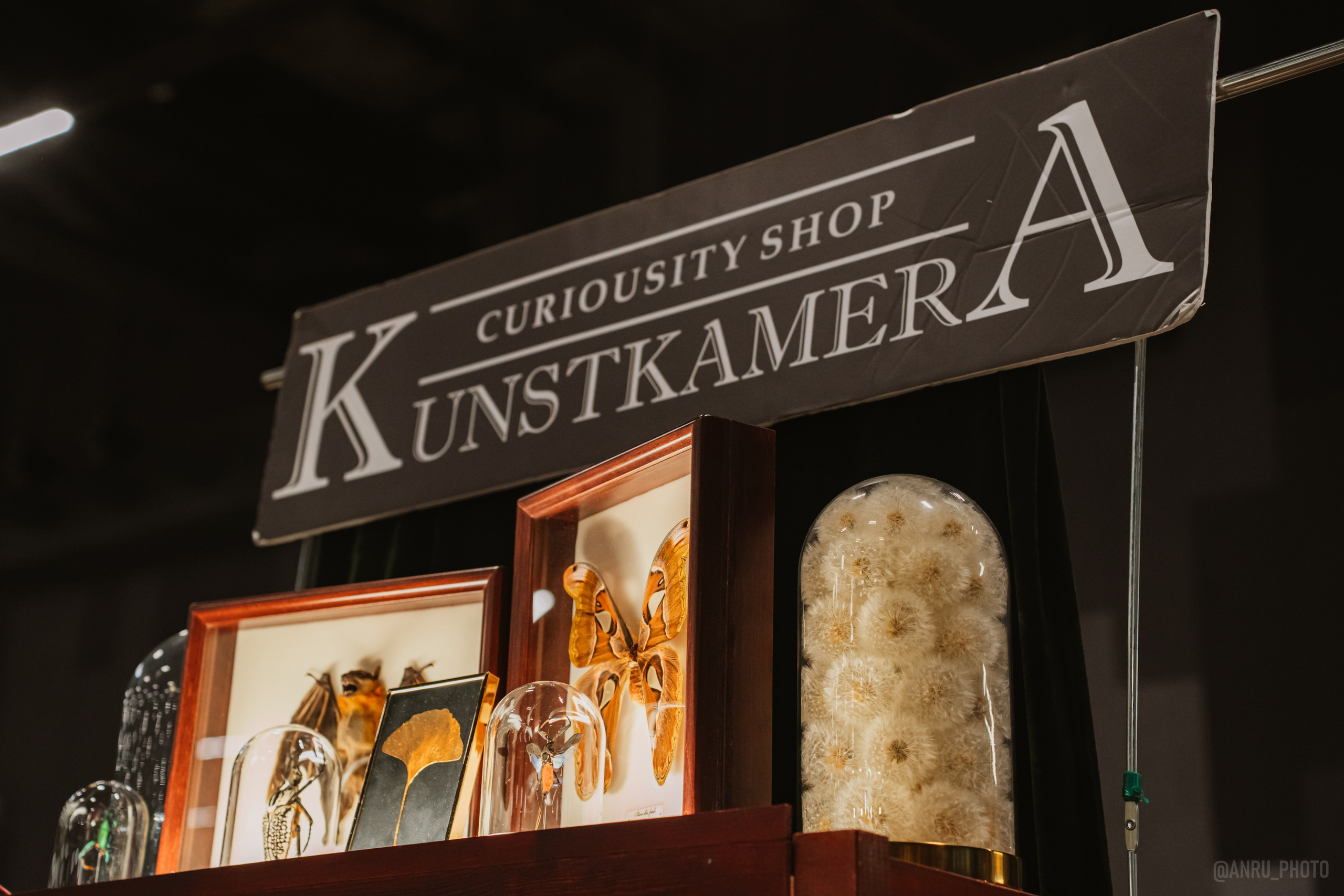 Рептилиум (ручная работа). Репортажный фотограф Анастасия Рубцова