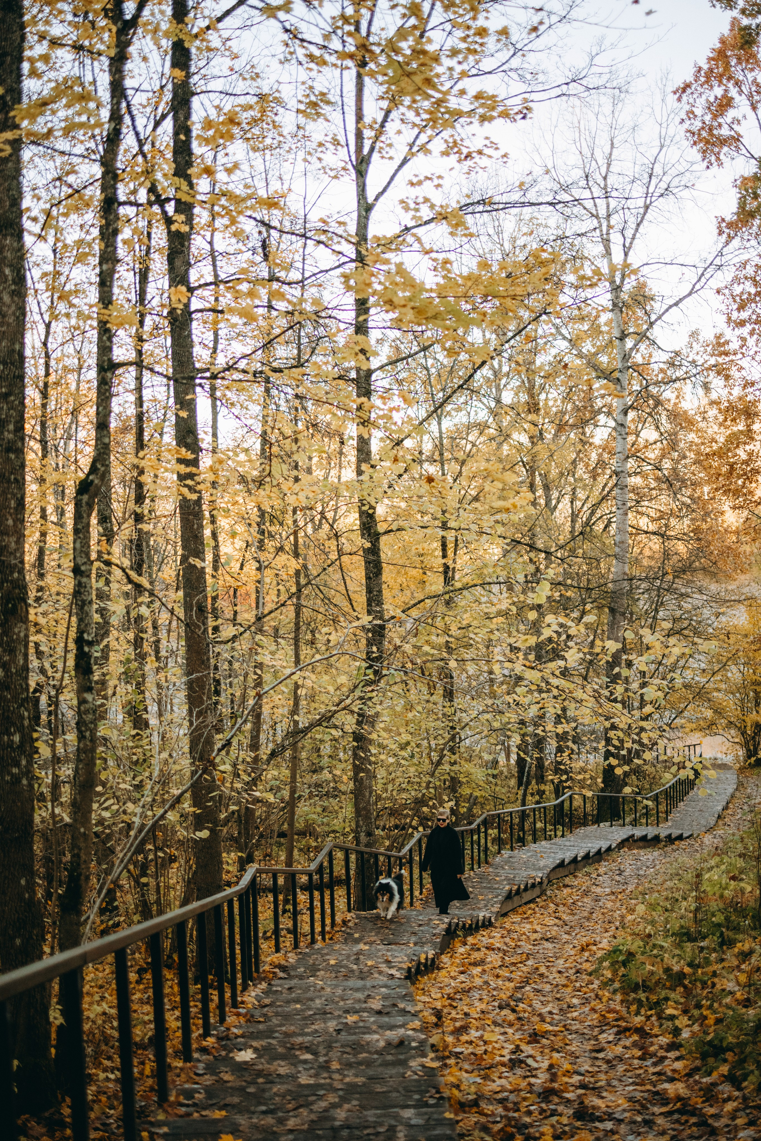 Ия и Барт. Фотограф — Анималист | Санкт-Петербург