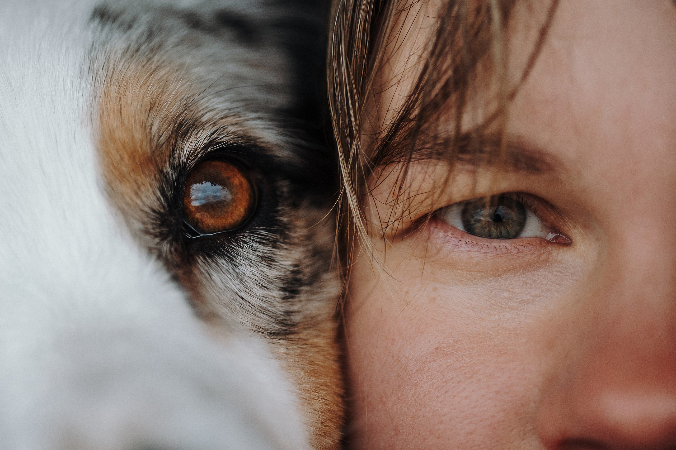 Ирина и Кайса. Фотограф — Анималист | Санкт-Петербург