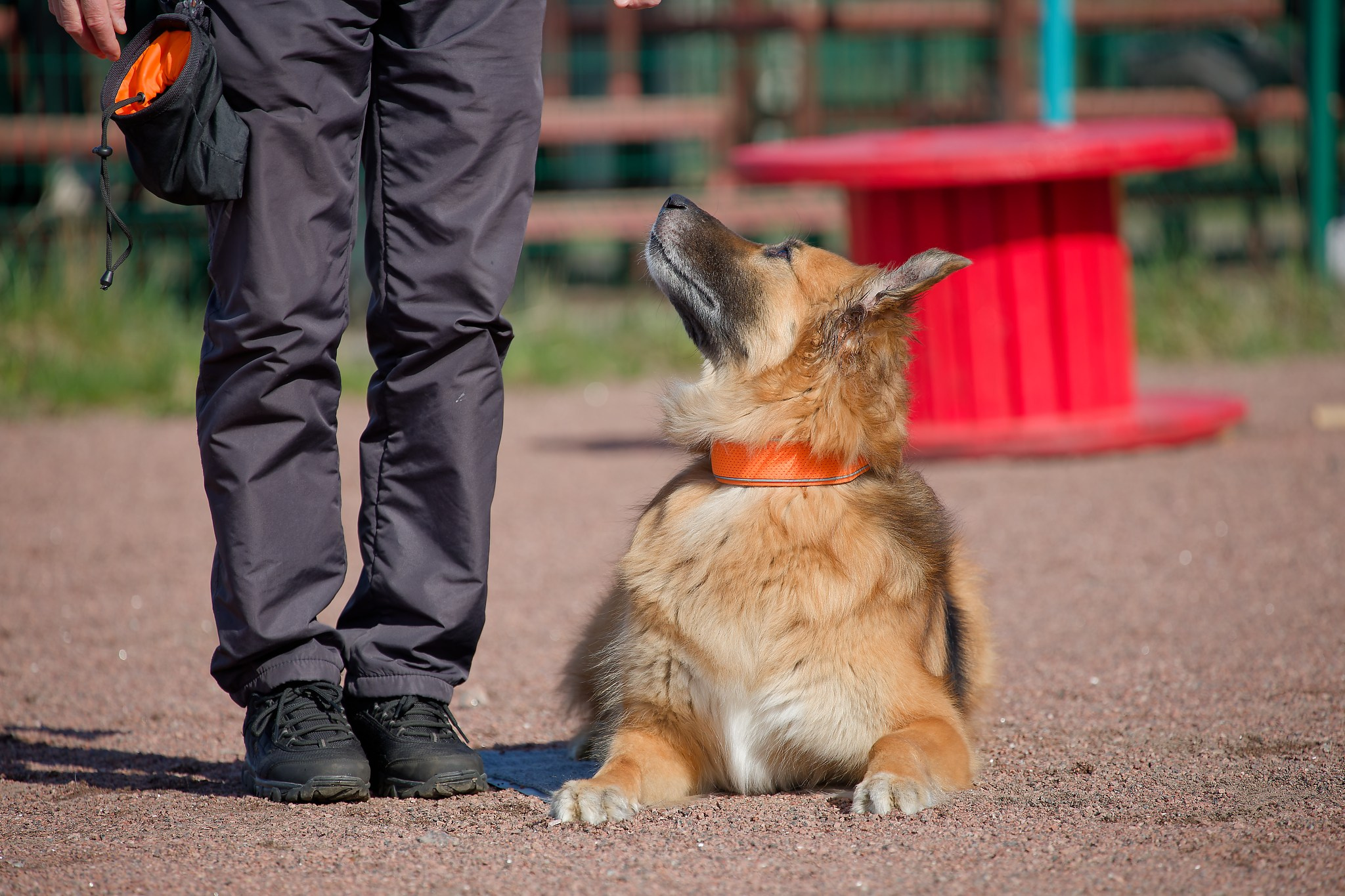 Турнир «Место». Irenephoto.ru