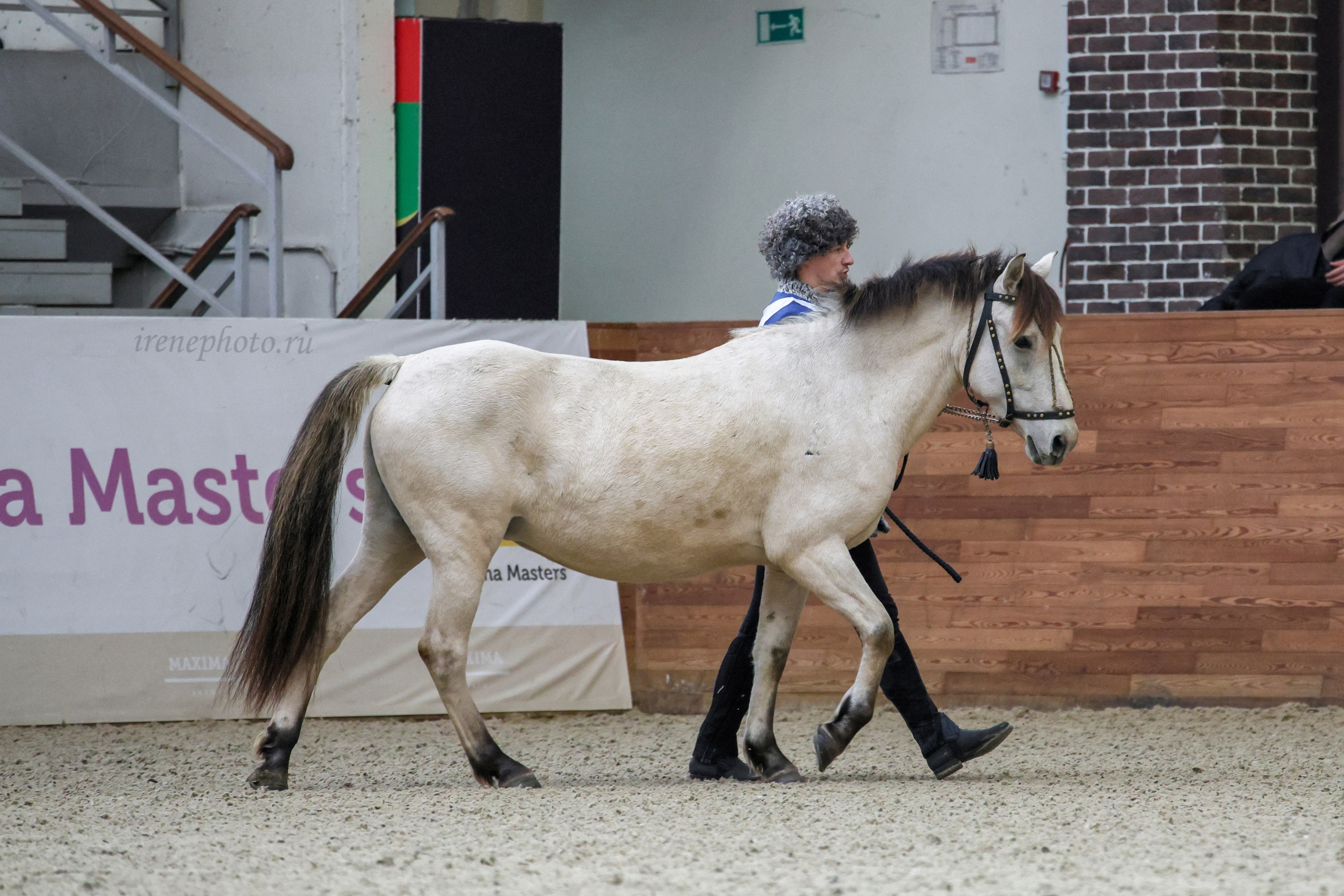 Конная Россия 2024. Irenephoto.ru
