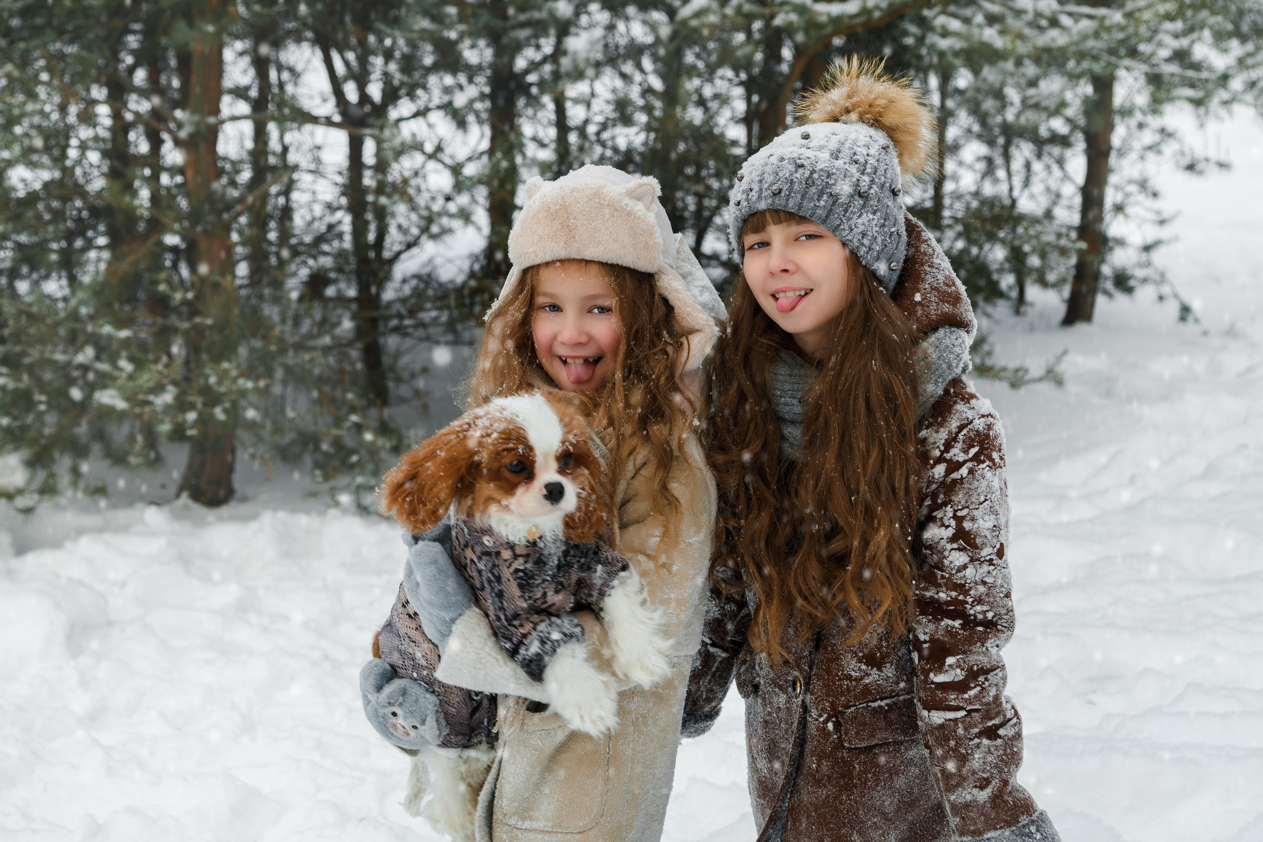 Фотопроект "Снежный"