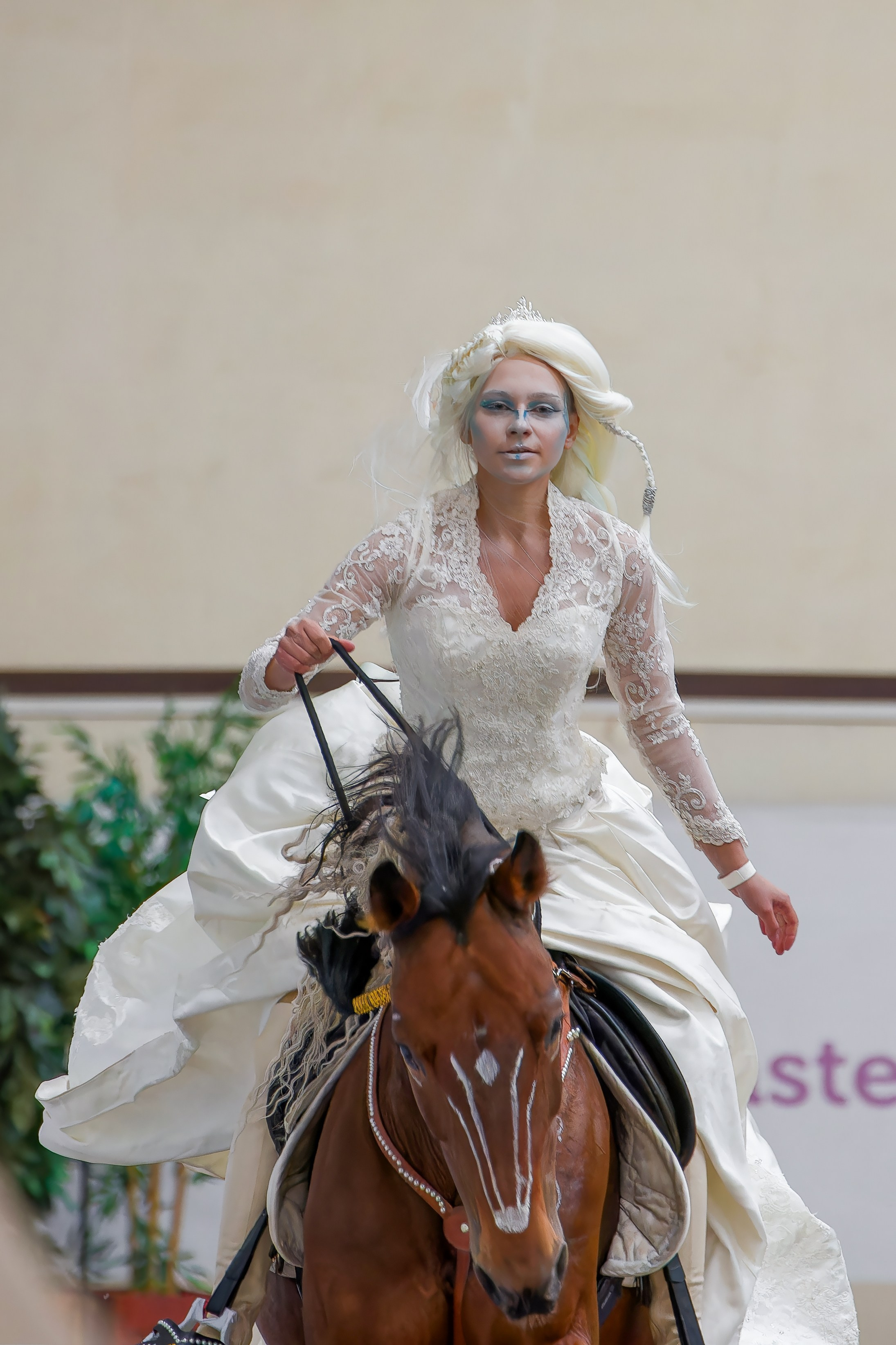 Конная Россия 2024. Irenephoto.ru