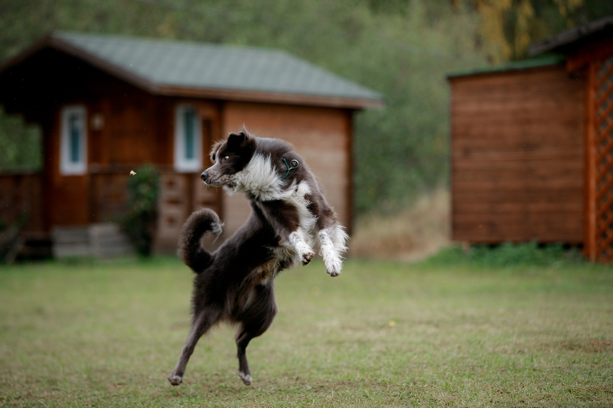Лагерь по ОБД с Инной Баженовой. Фотограф-анималист Mary Mart — Москва, Питер