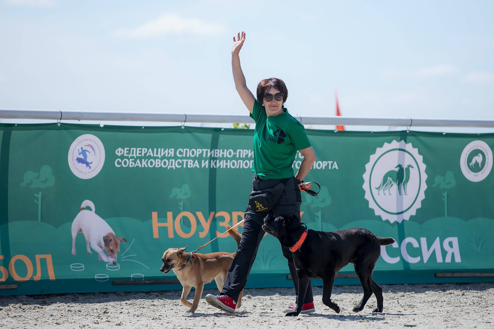 Показательные выступления по NoseWork на выставке «Россия». Фотограф-анималист Mary Mart — Москва, Питер