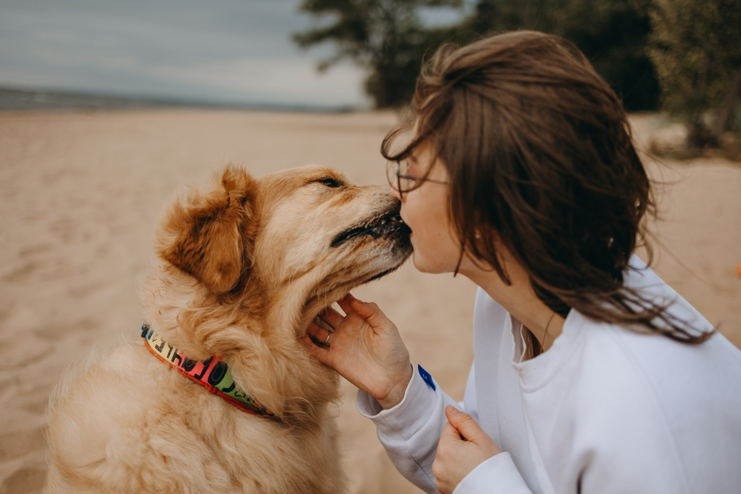 Фоси и его семьи. Фотограф — Анималист | Санкт-Петербург