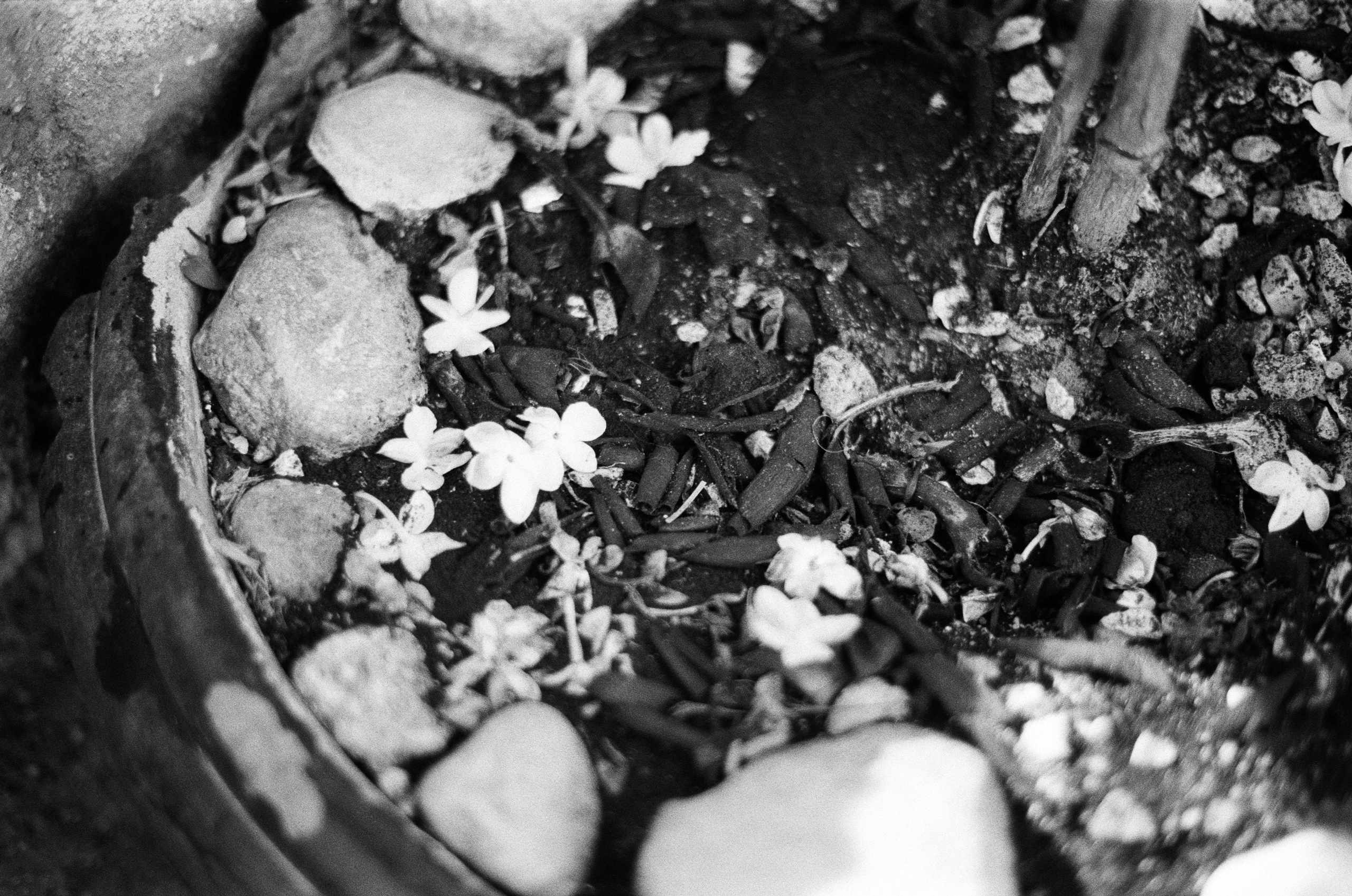 Spanish sahara // spain, granada II. EVER EXPOSED