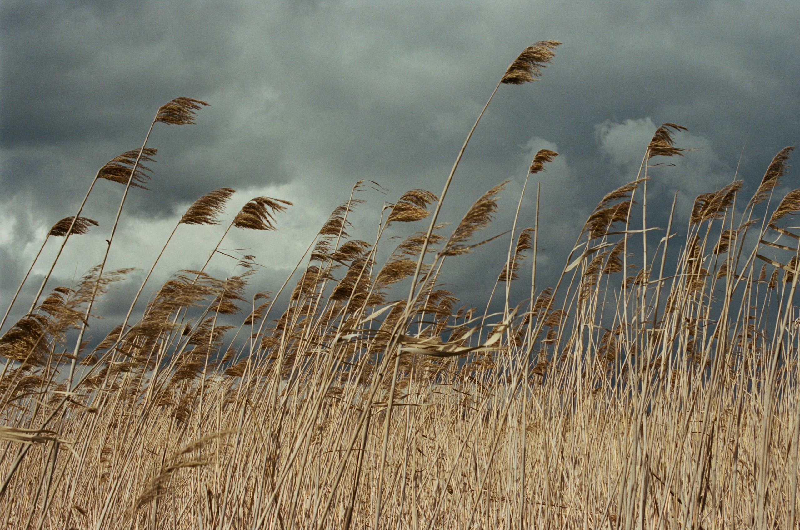 This time // ukraine, crimea II. EVER EXPOSED