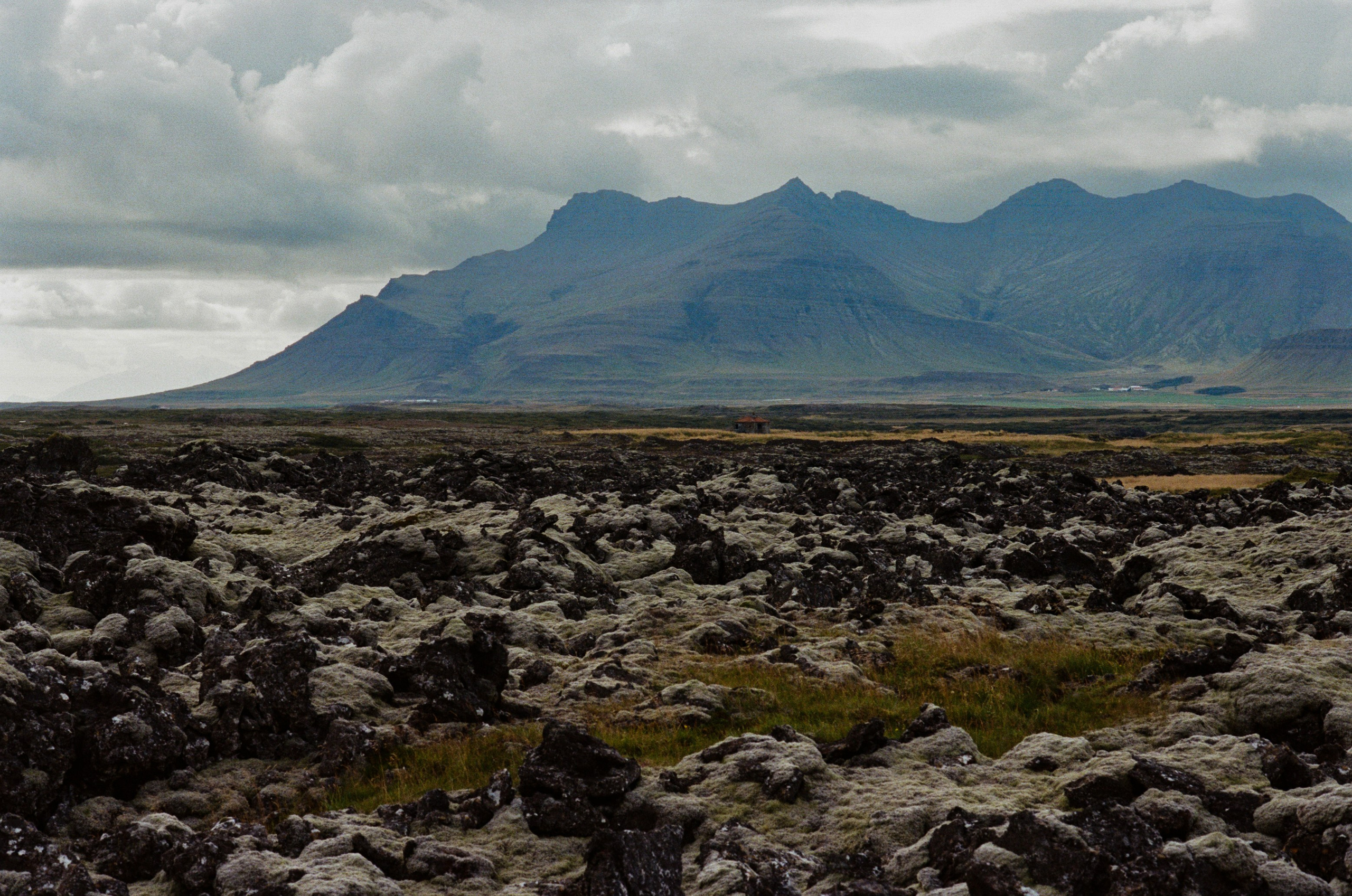 Vor i vaglaskogi // iceland, 724. EVER EXPOSED