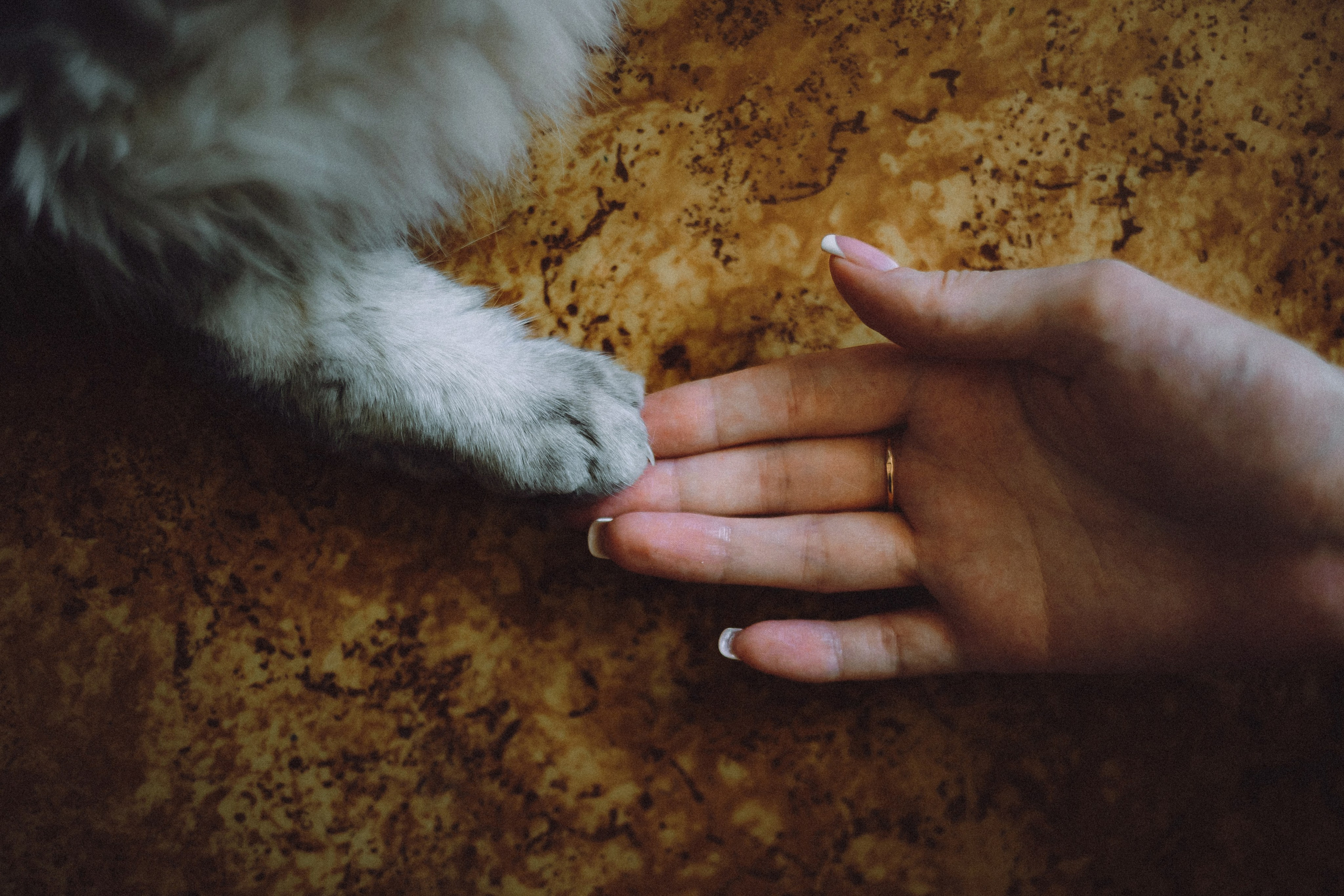 Яся и ее семья