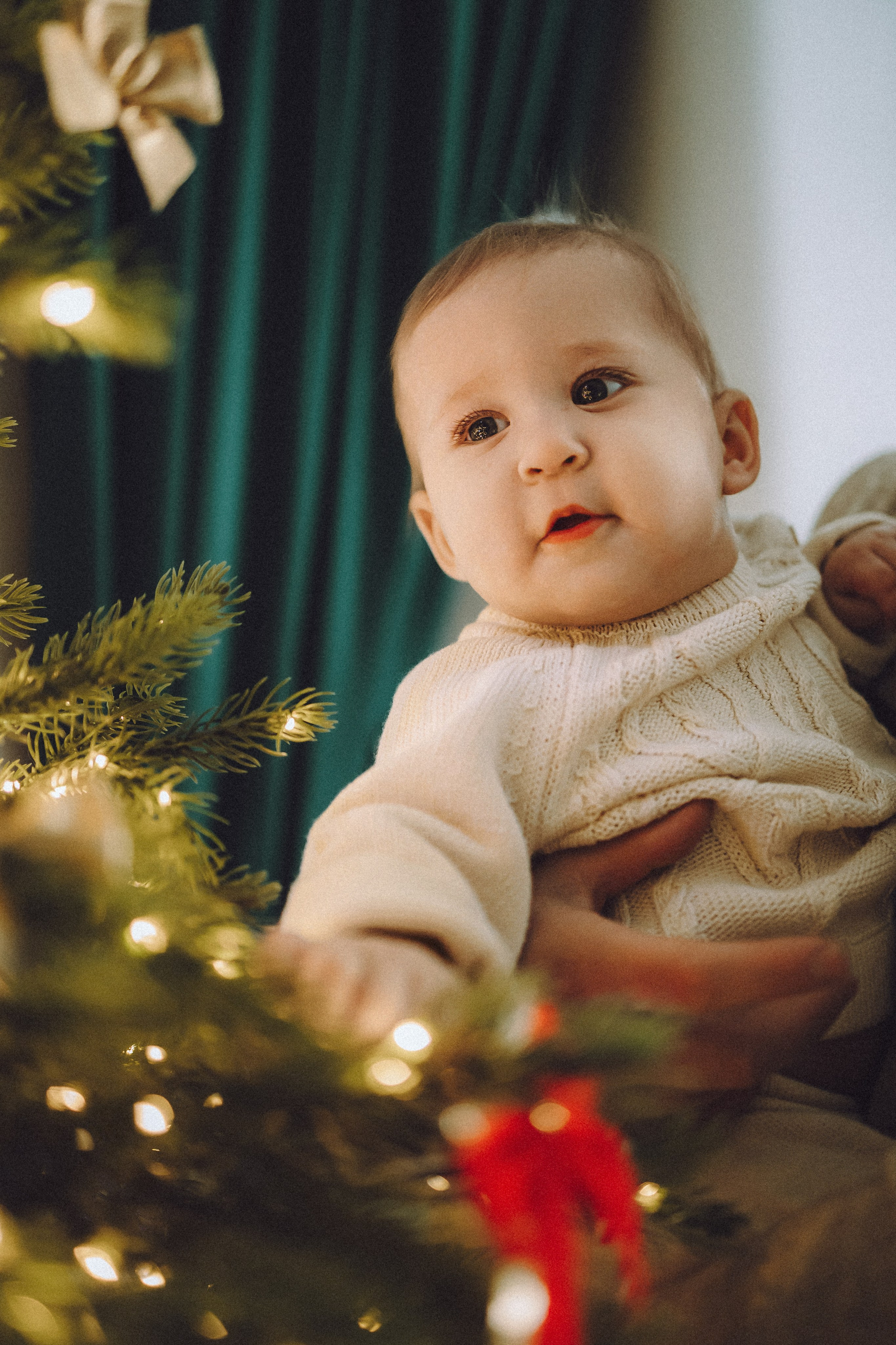 Топик и его семья