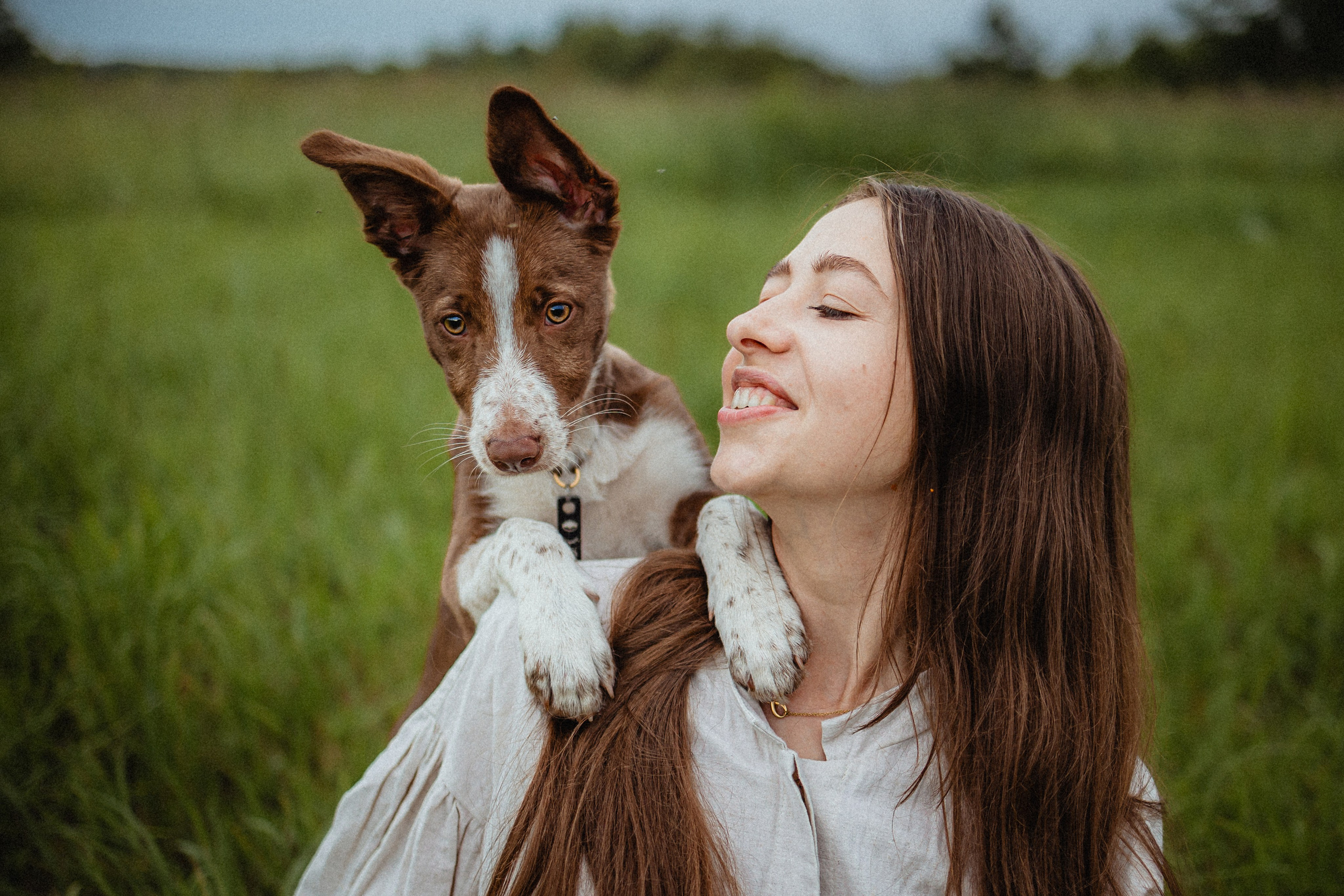 Выездной дог-тренинг от школы «Шерсть имею»