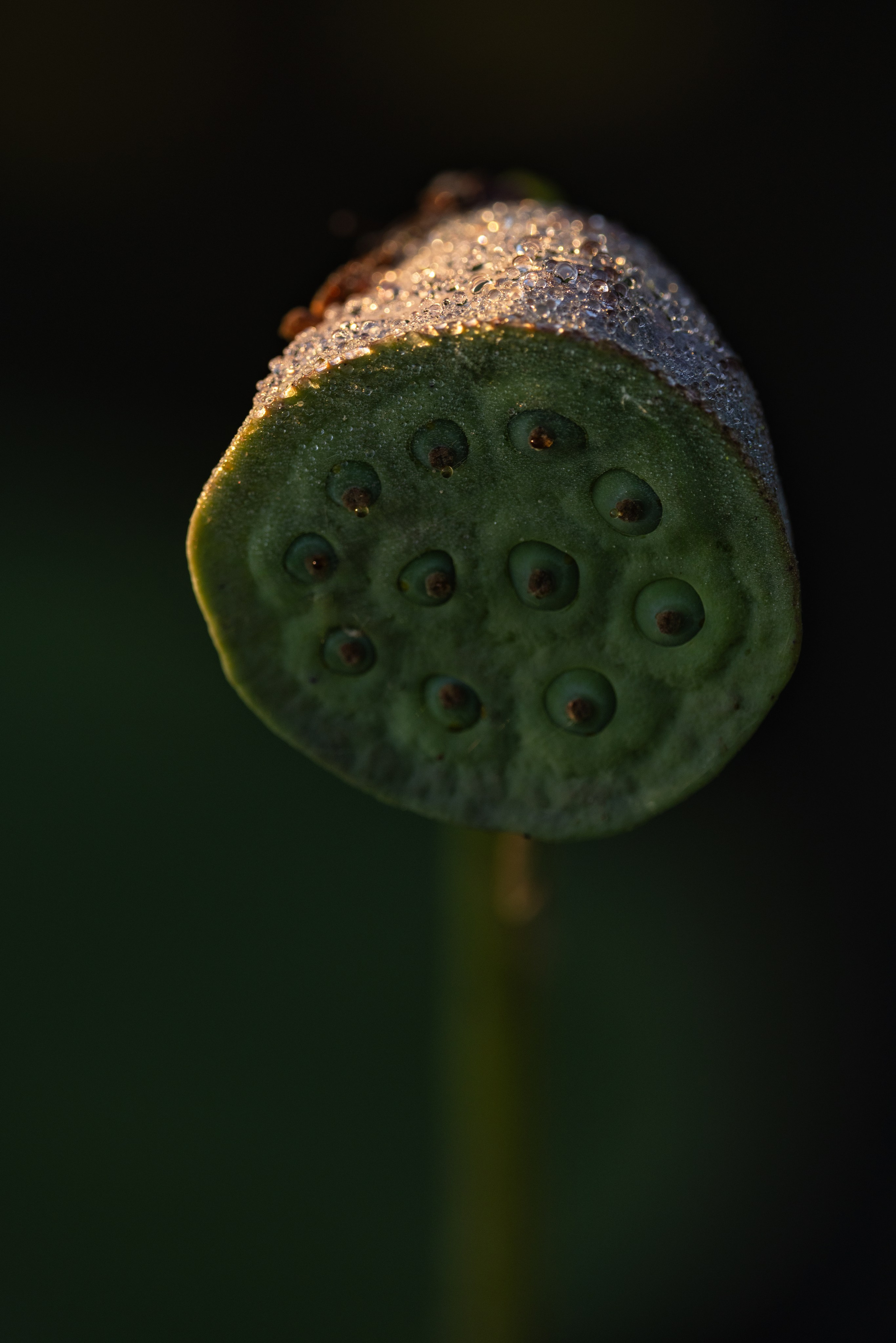 Астраханская область 2025 | Фотограф Дмитрий Купрацевич. Дмитрий Купрацевич профессиональный пейзажный и travel-фотограф