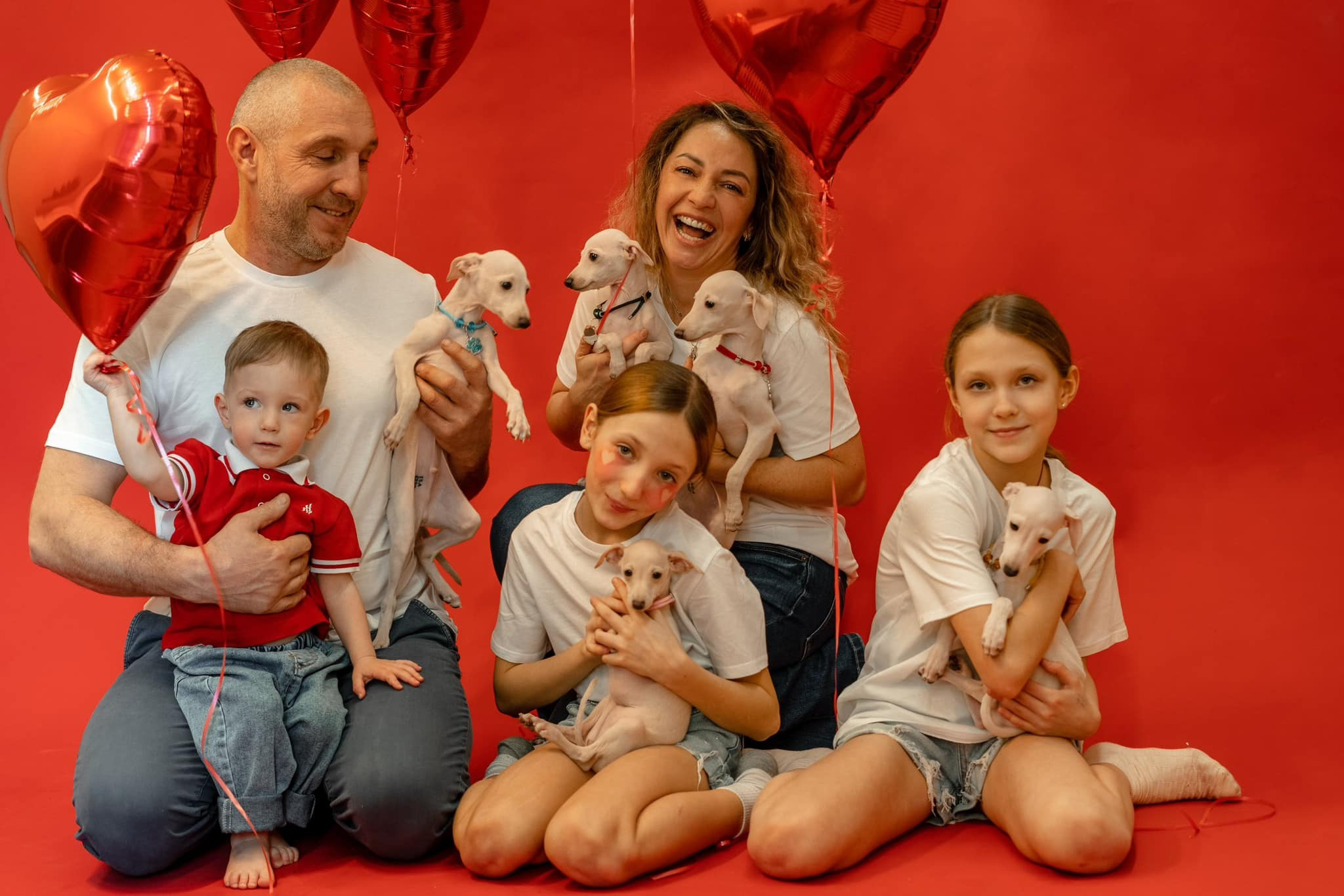 Профессиональный питомник левреток РКФ/FCI ASTI SAPPHIRE 💎 Сочи|Санкт-Петербург