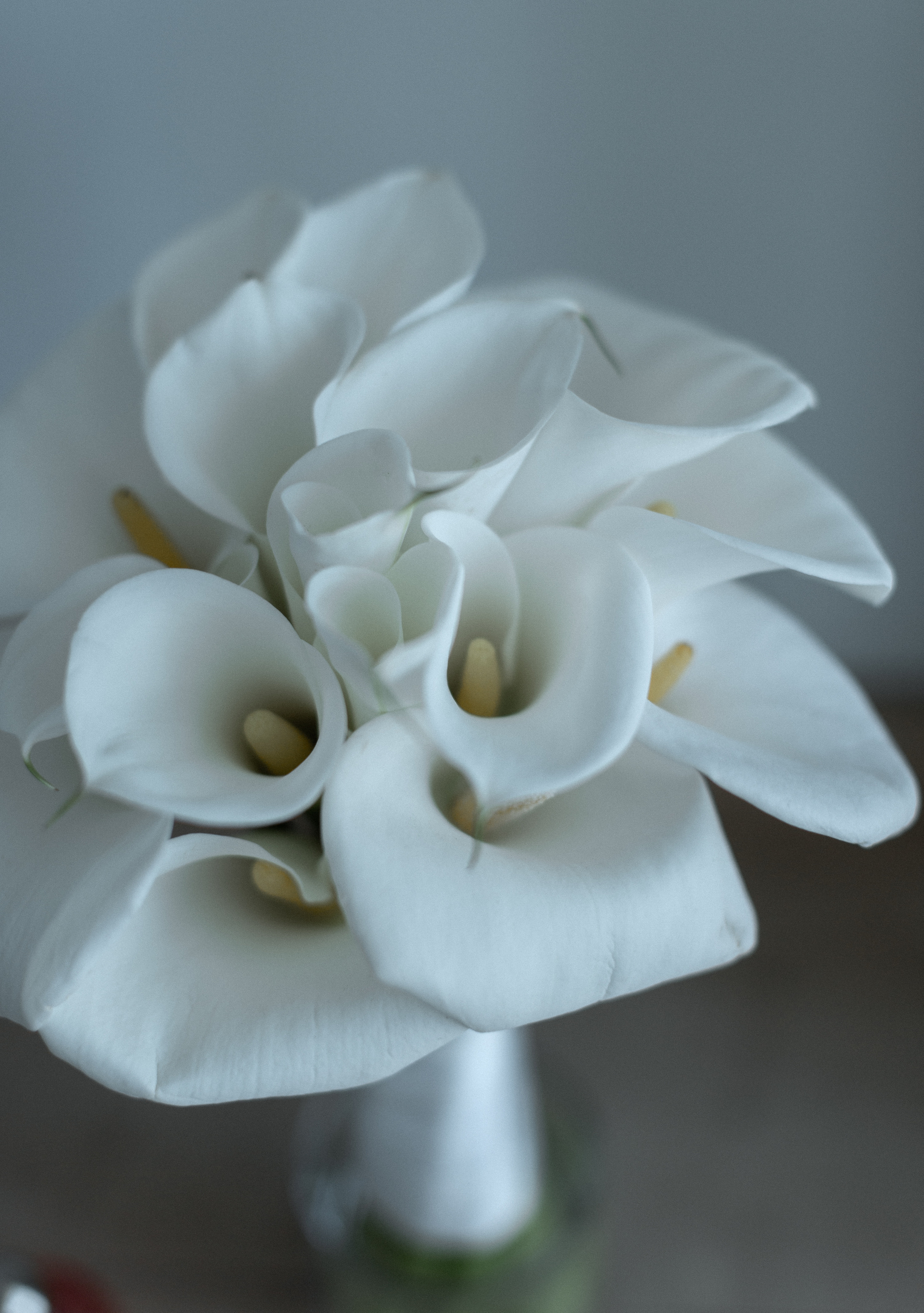 Анжела | Сергей