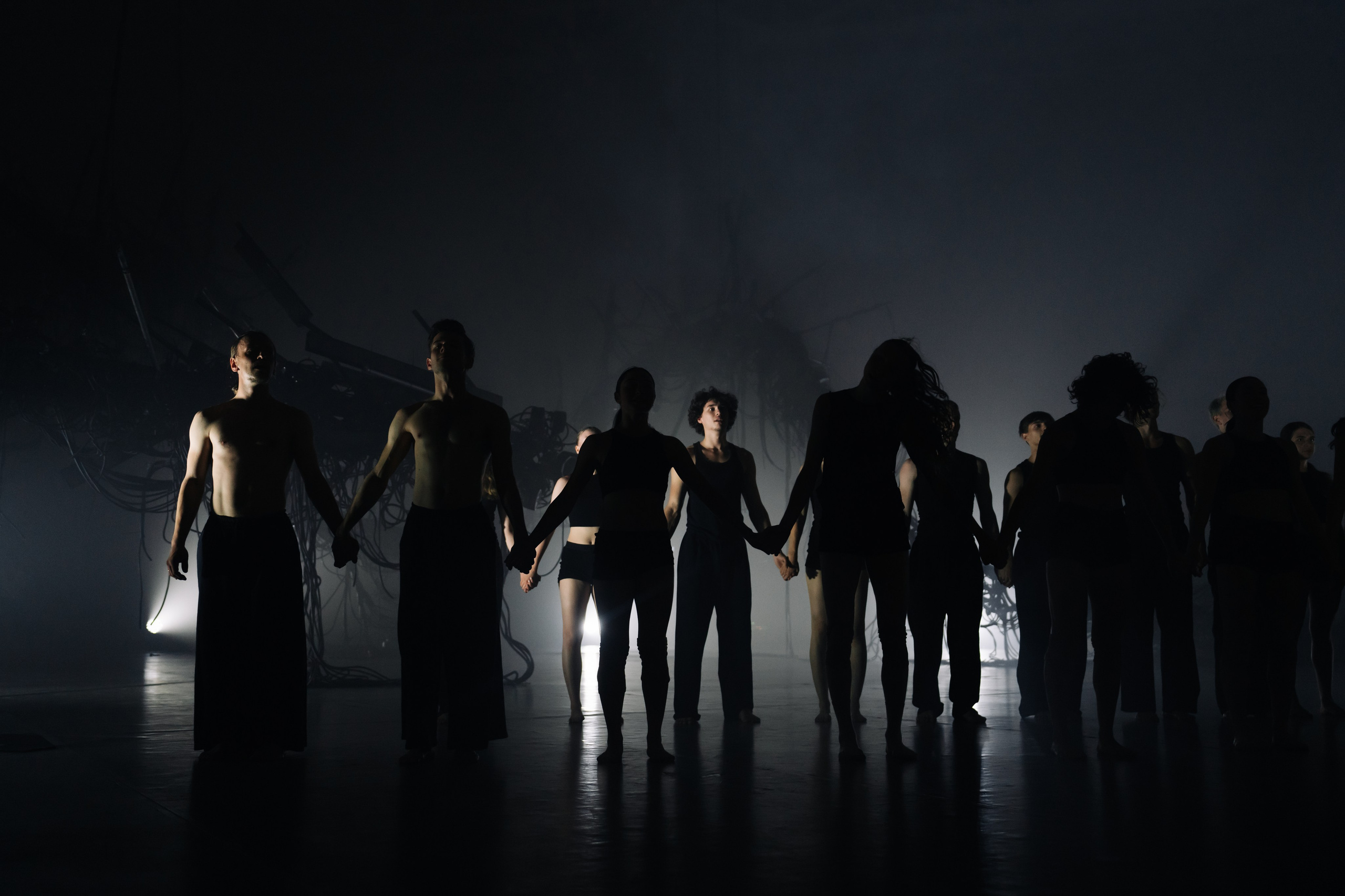 PERFORMA, The Hour of the Horse. @tomrus: Рустам Шагиморданов — фотограф