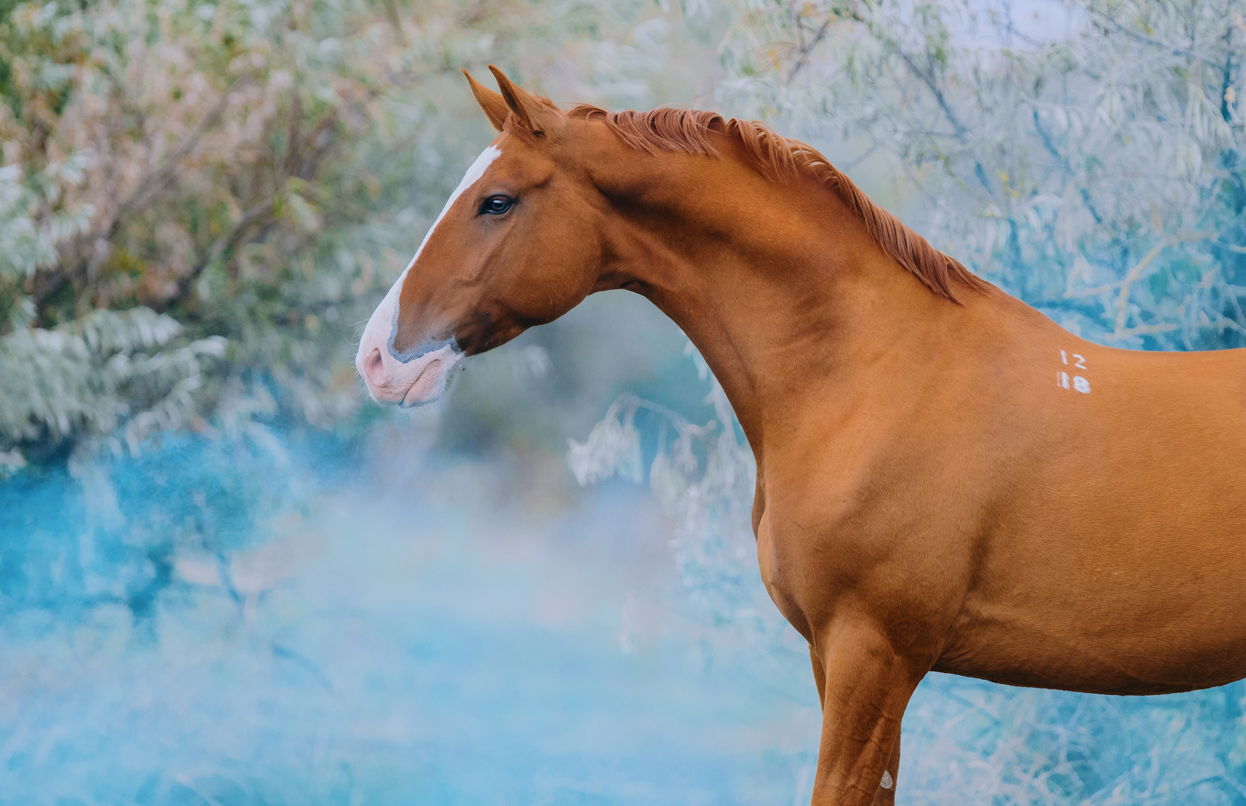 Разное. Фотограф-анималист Ксендзова Кристина