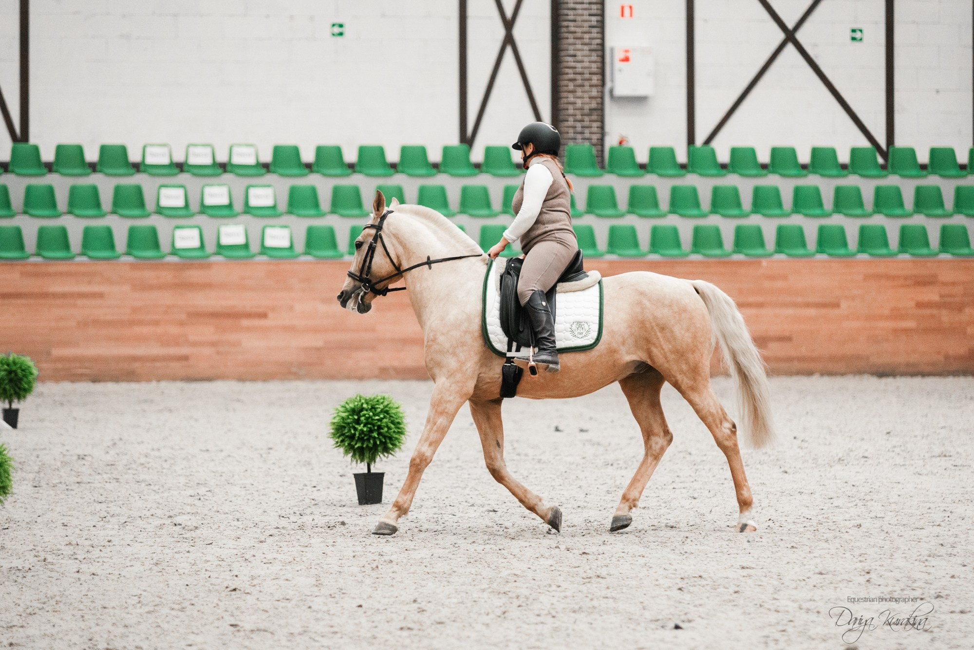 8-я международная выставка Конная Россия. Конный фотограф Куракина Дарья • Фотосессии с лошадьми