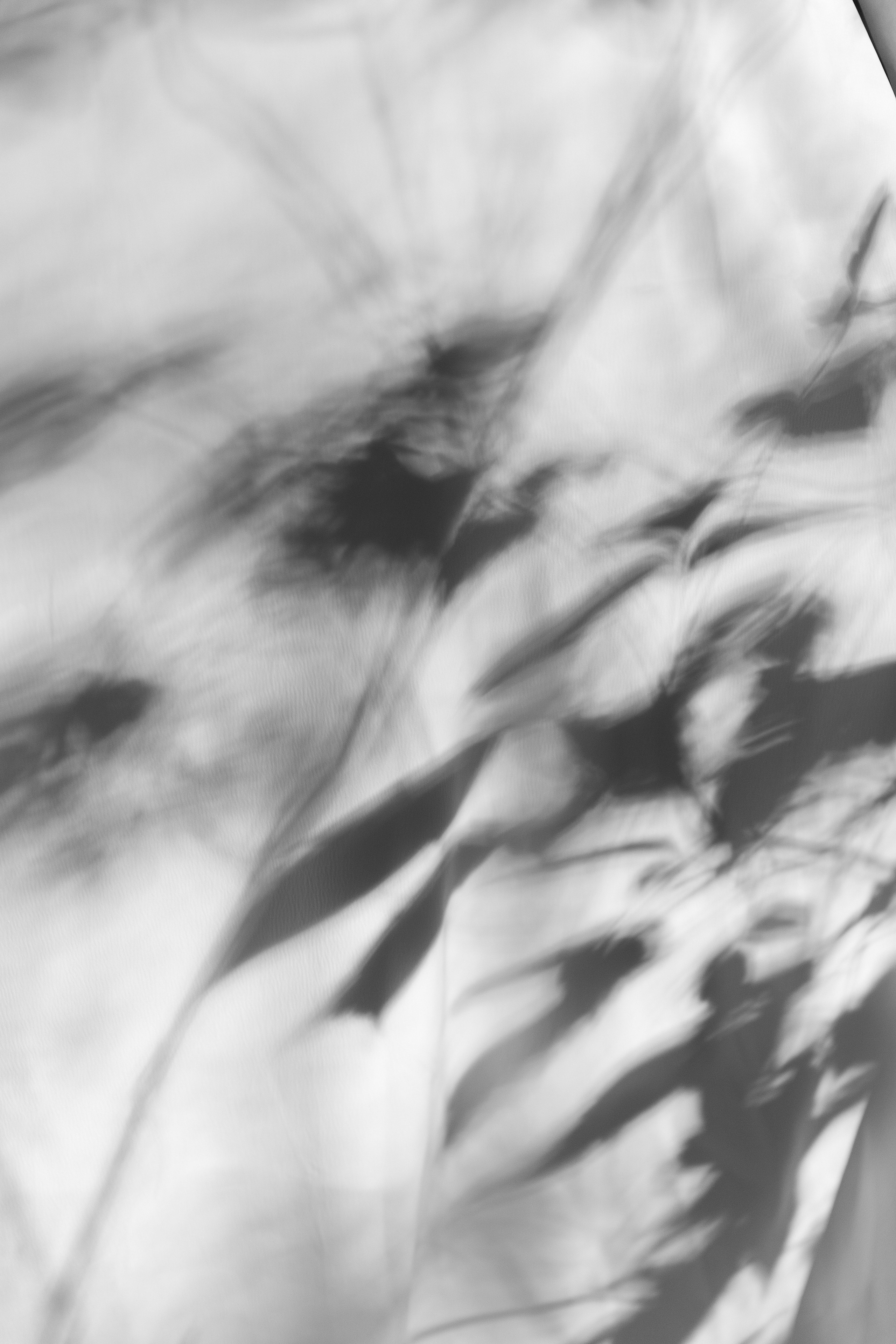 Виталий и Анастасия