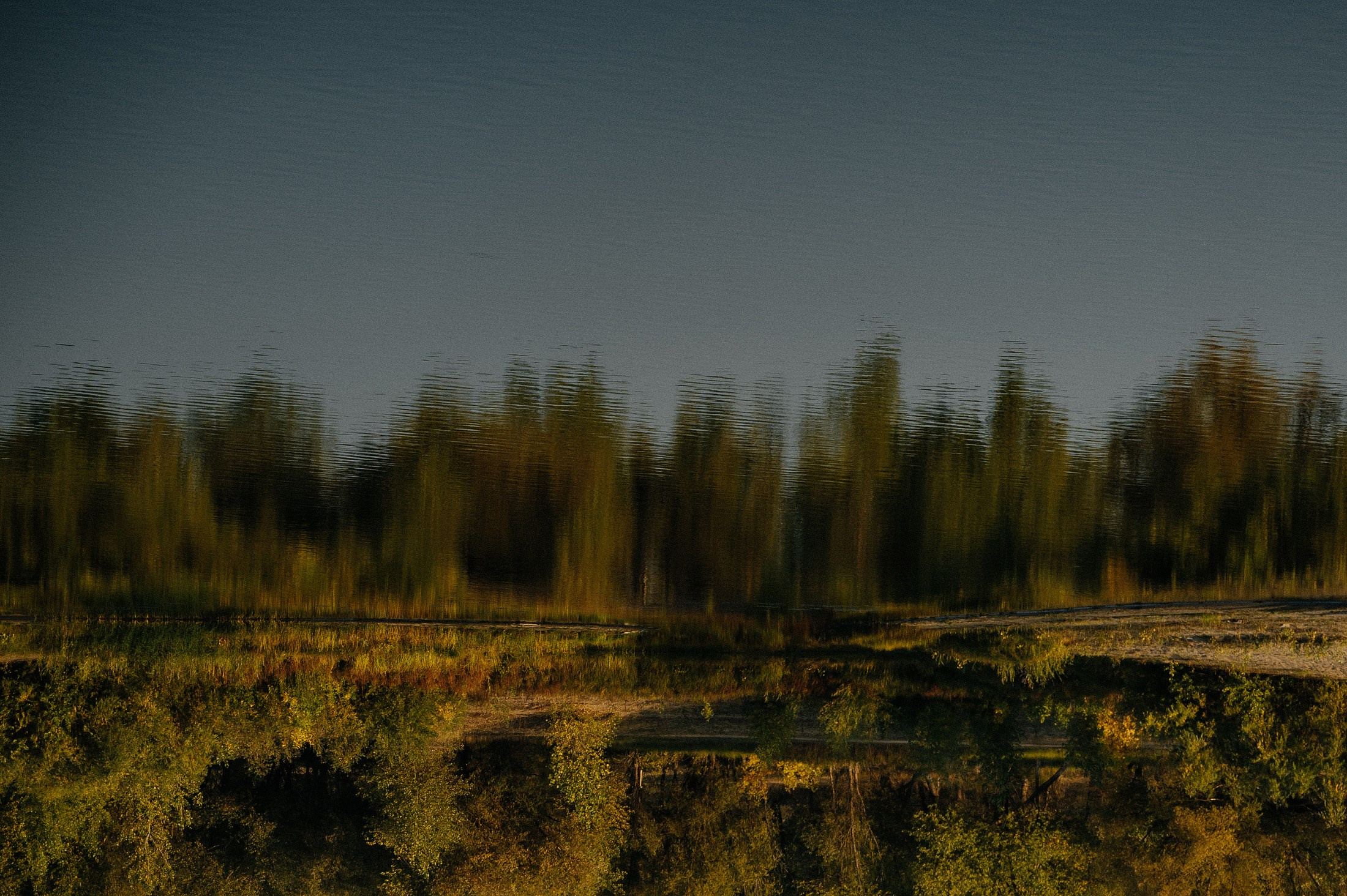 Гарик и Аня. Свадебный и семейный фотограф в Краснодаре Роман Моско