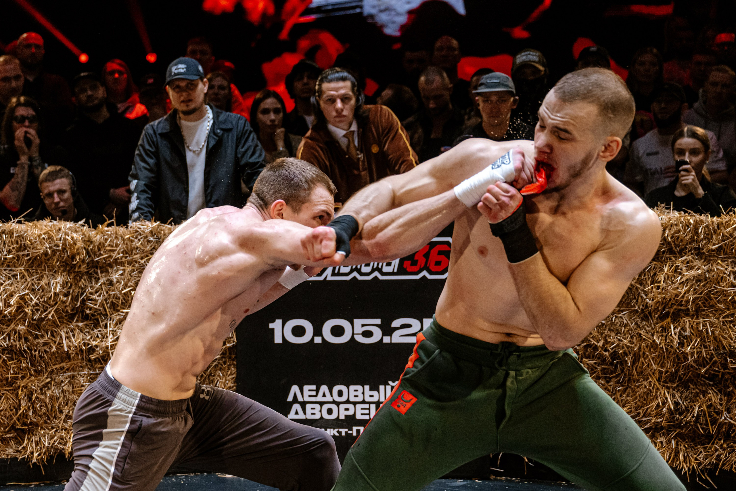 TOP DOG 2. Максим Комаров — Профессиональный фотограф