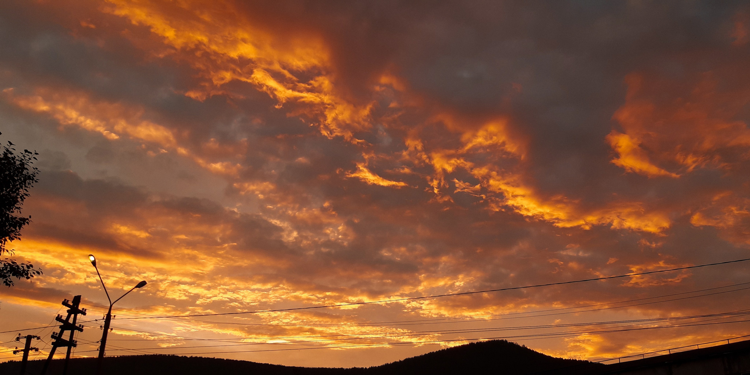 Alina.Dvt — профессиональный фотограф|Красноярск