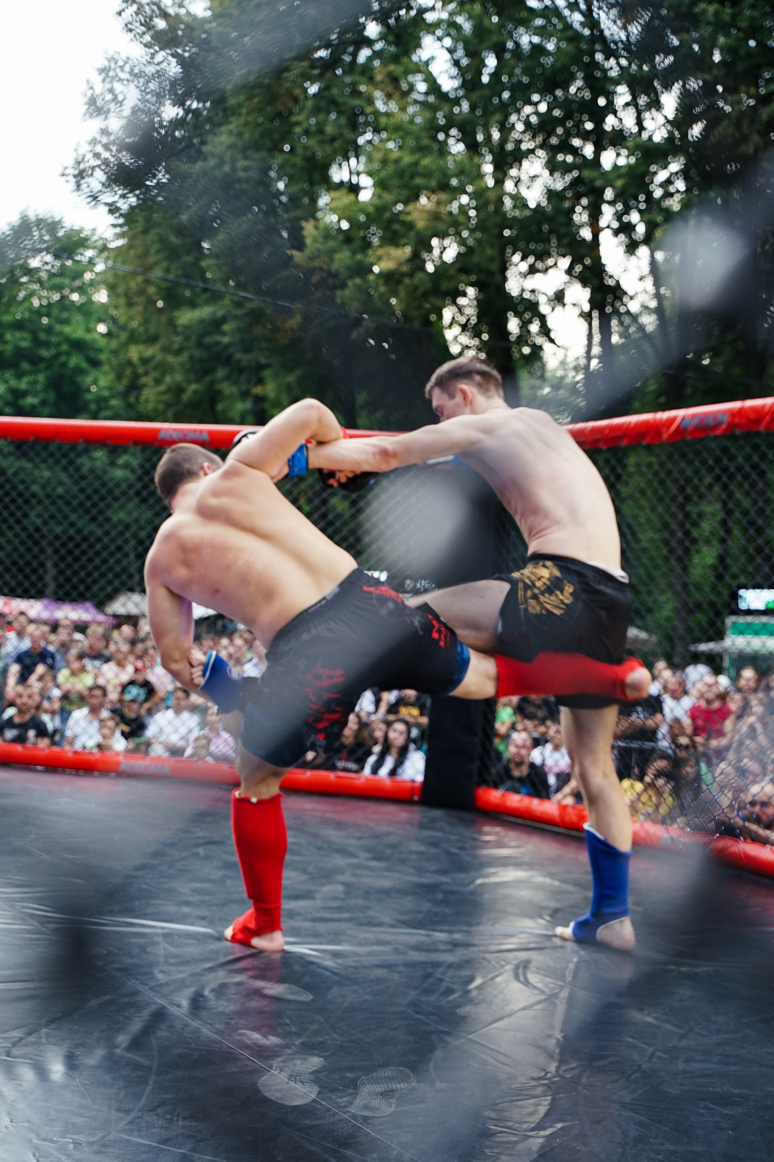 Вечер боев в ЦПКиО. Фотограф Надежда Погребняк | Рязань | Москва