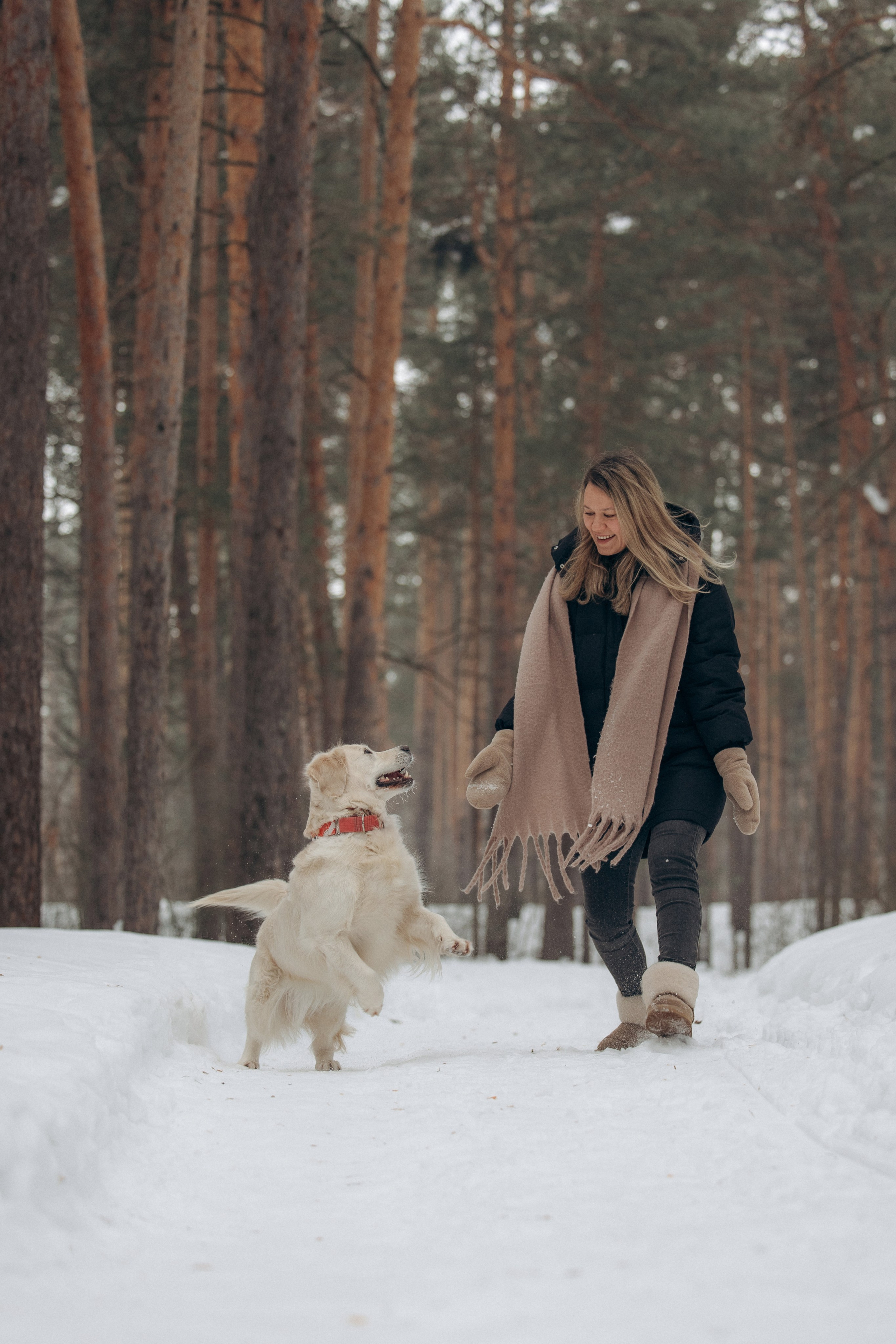 Зима. Лес. Татьяна и Делла. Фотограф анималист в Казани Алина Сулейманова. Фотограф животных