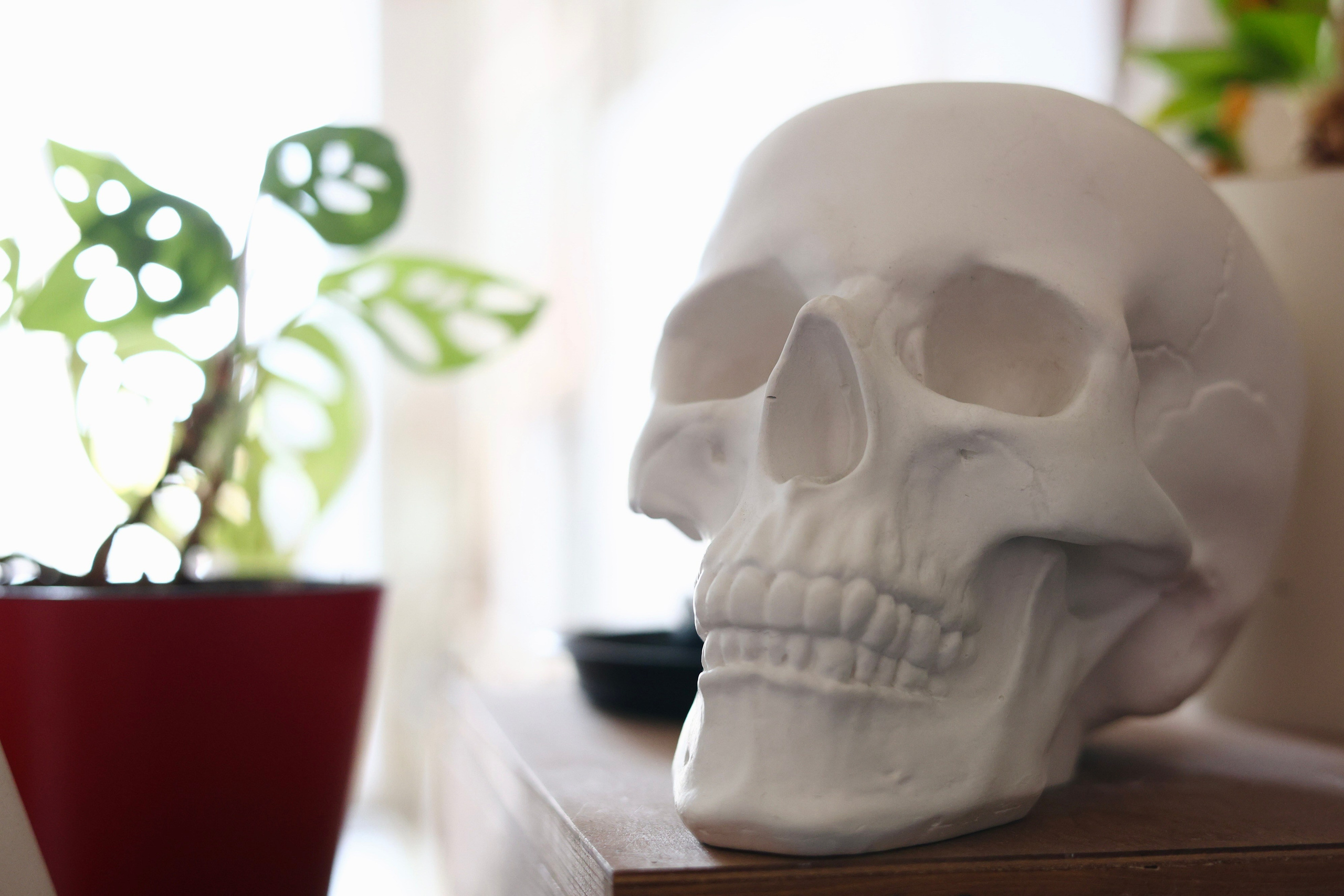 Марина Алтухова. Художница. Репортажный фотограф Наталья Лапцевич