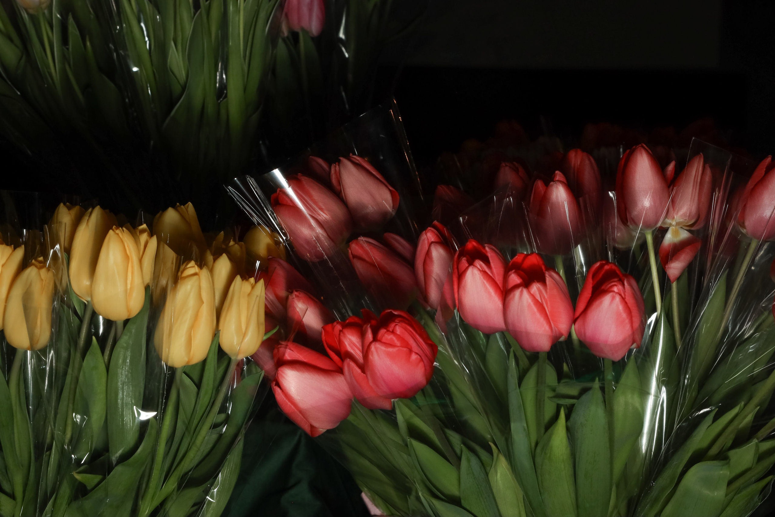 NSP Большая конференция. Фотограф Антон Чупринин