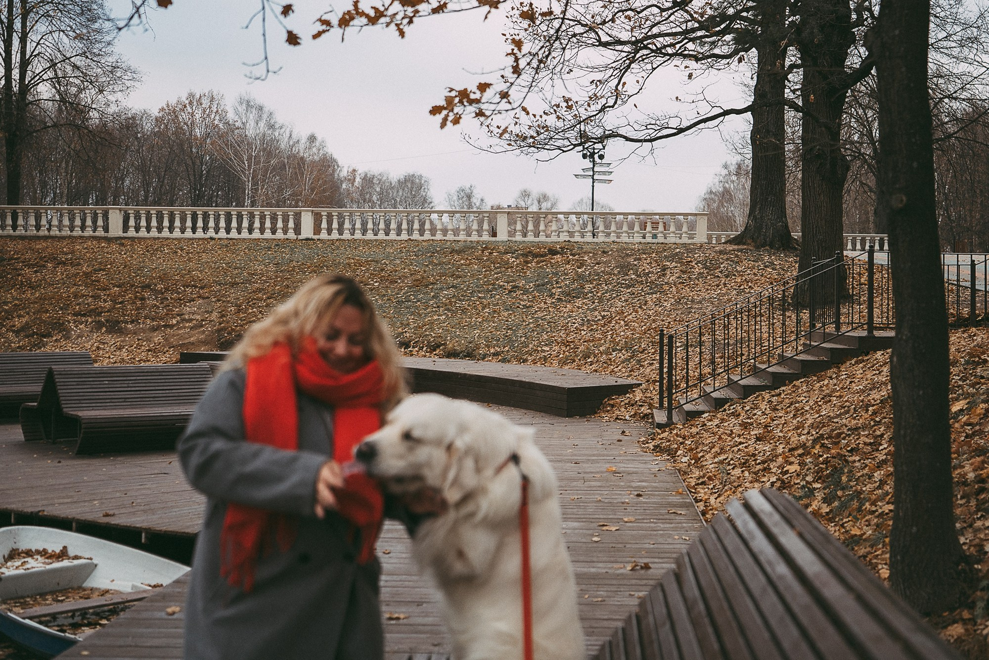 Лена и Мерлин. Фотограф анималист в Москве и Санкт-Петербурге Свиридова Анна