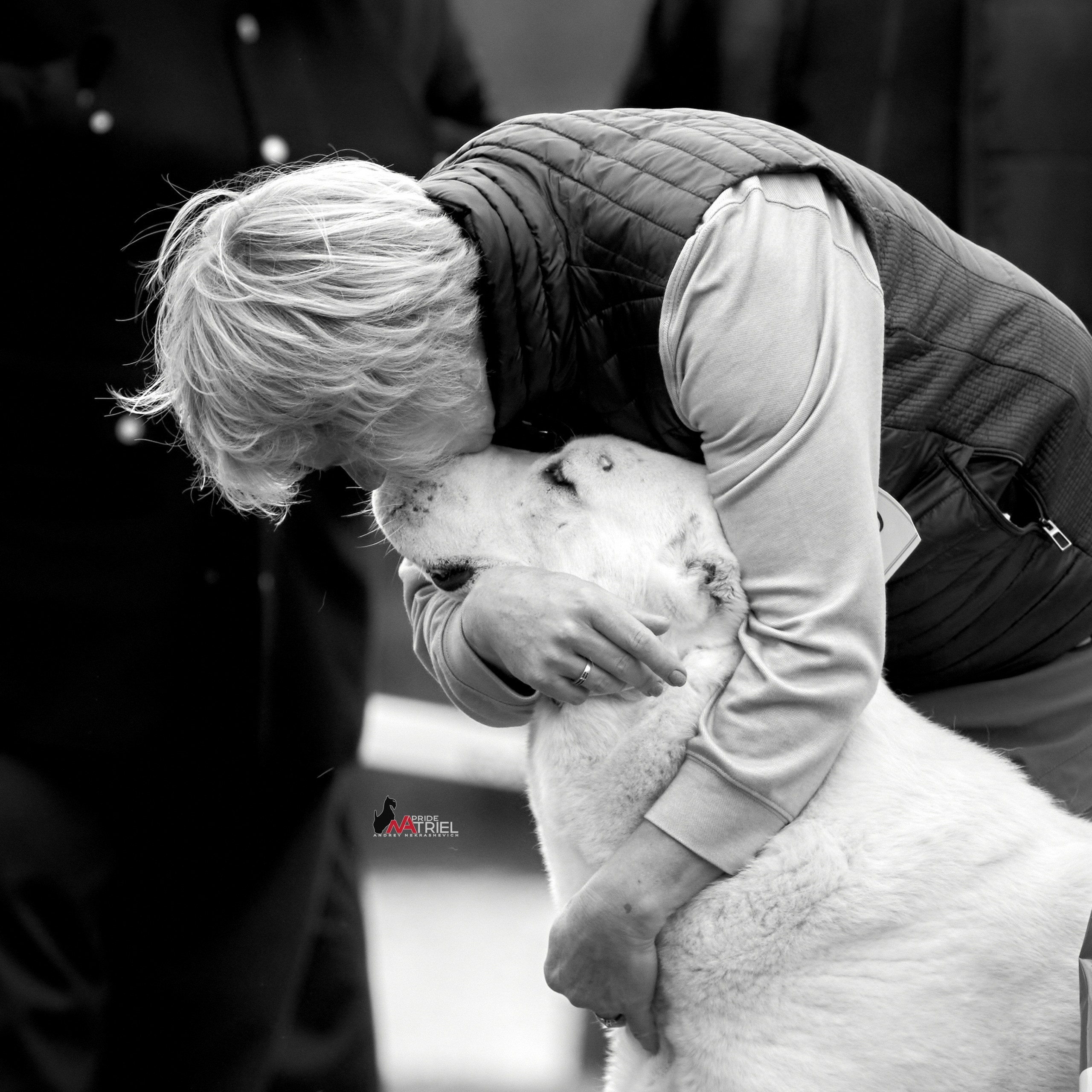 Собаки и Люди — галерея NATRIEL