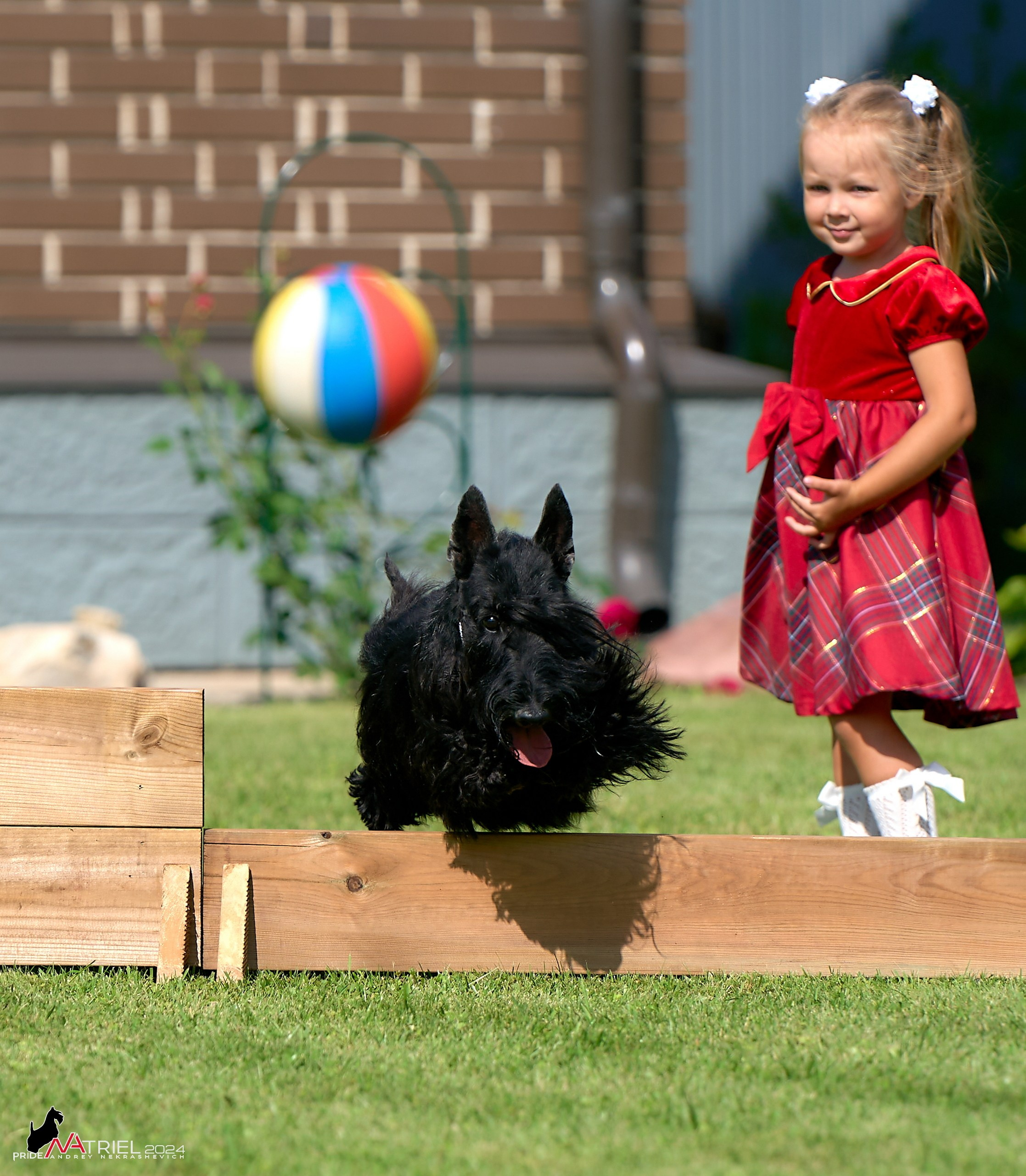 Скотчесемья «ИмпериалИти»