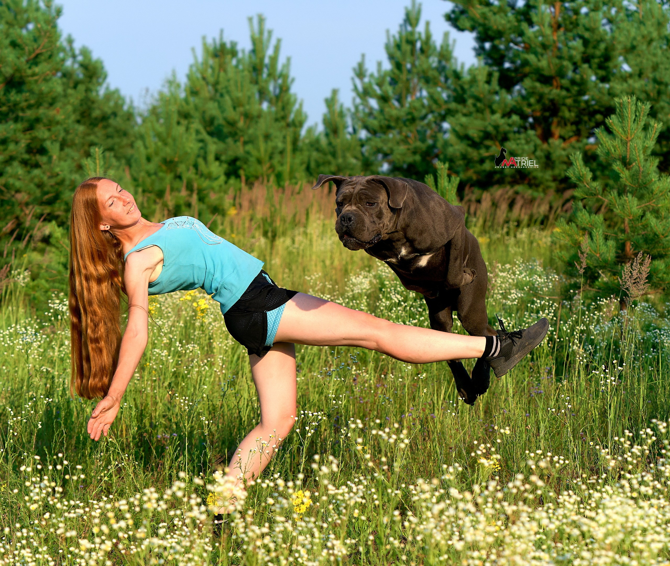 Обидиенс и танцы с собаками — галерея NATRIEL
