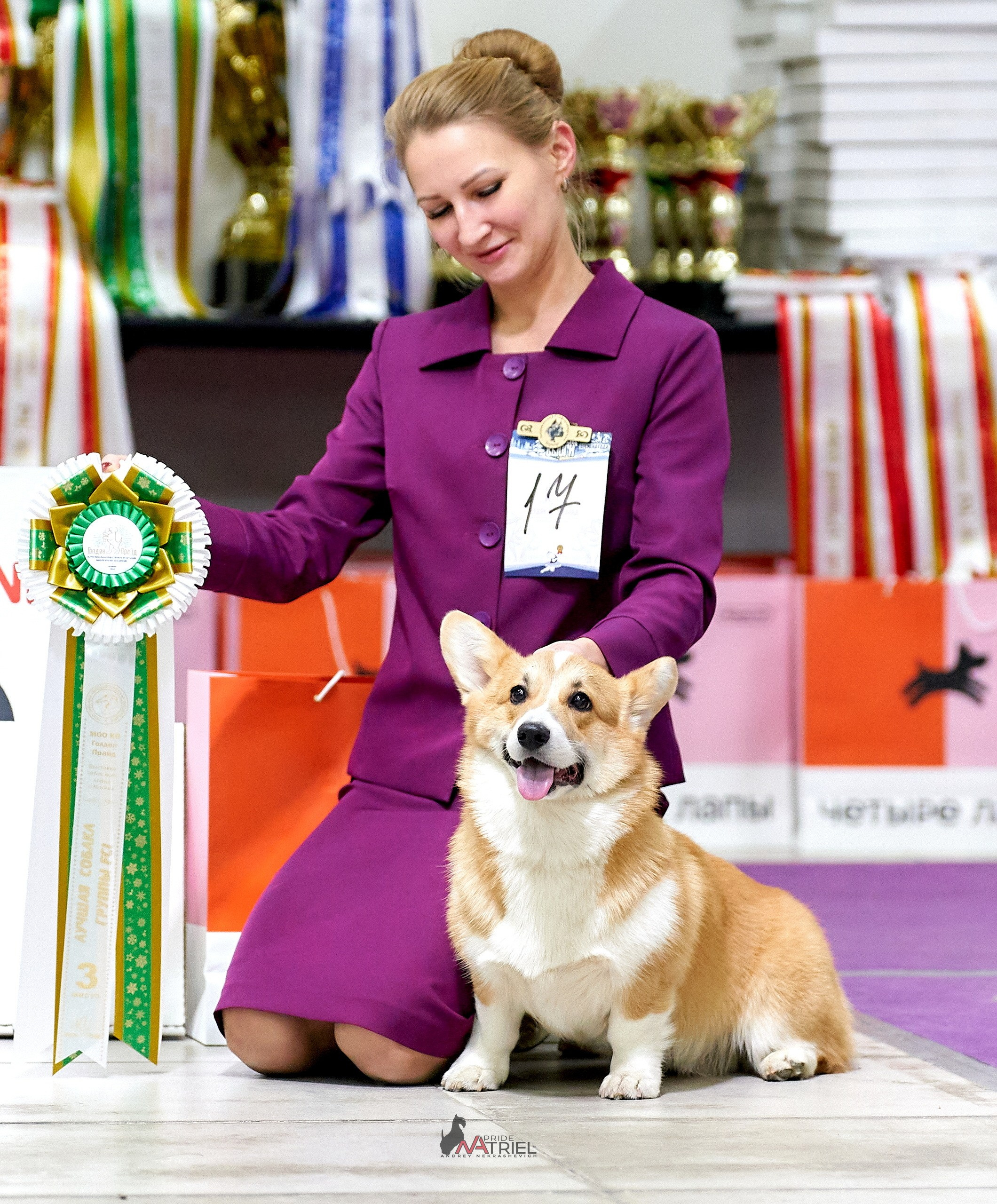 Призовые места — галерея NATRIEL