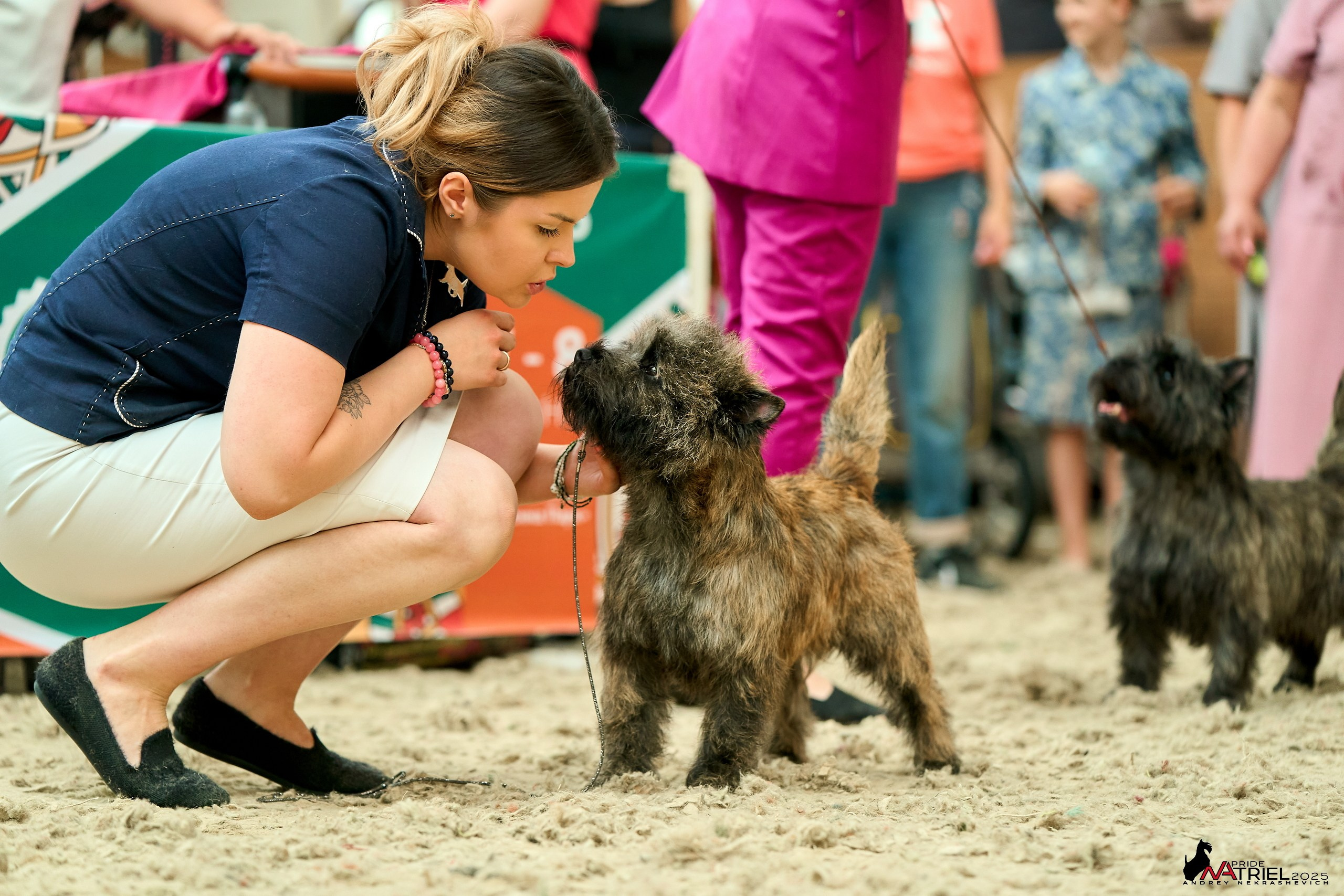 Выставка собак РОССИЯ — 2025