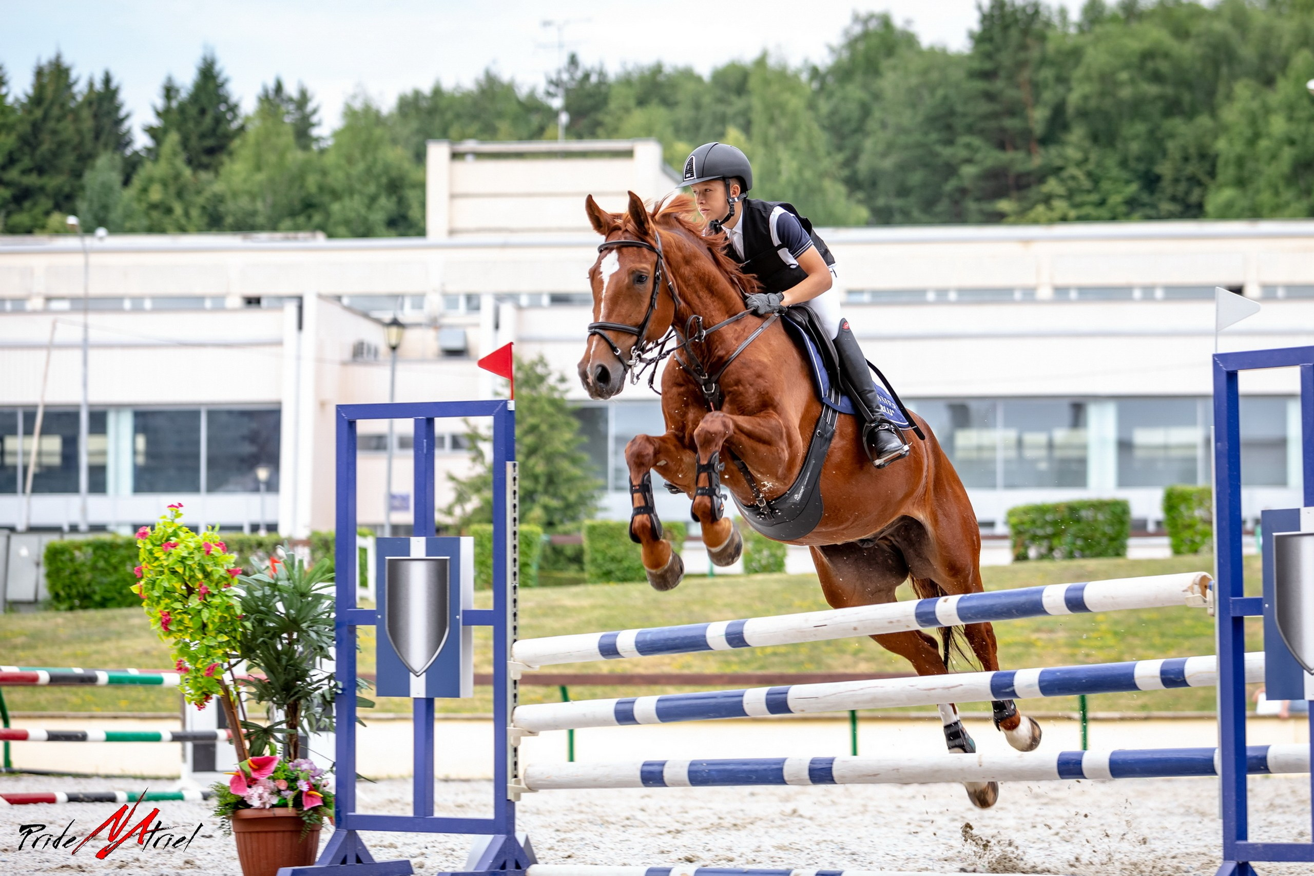 Соревнования на лошадях — галерея NATRIEL