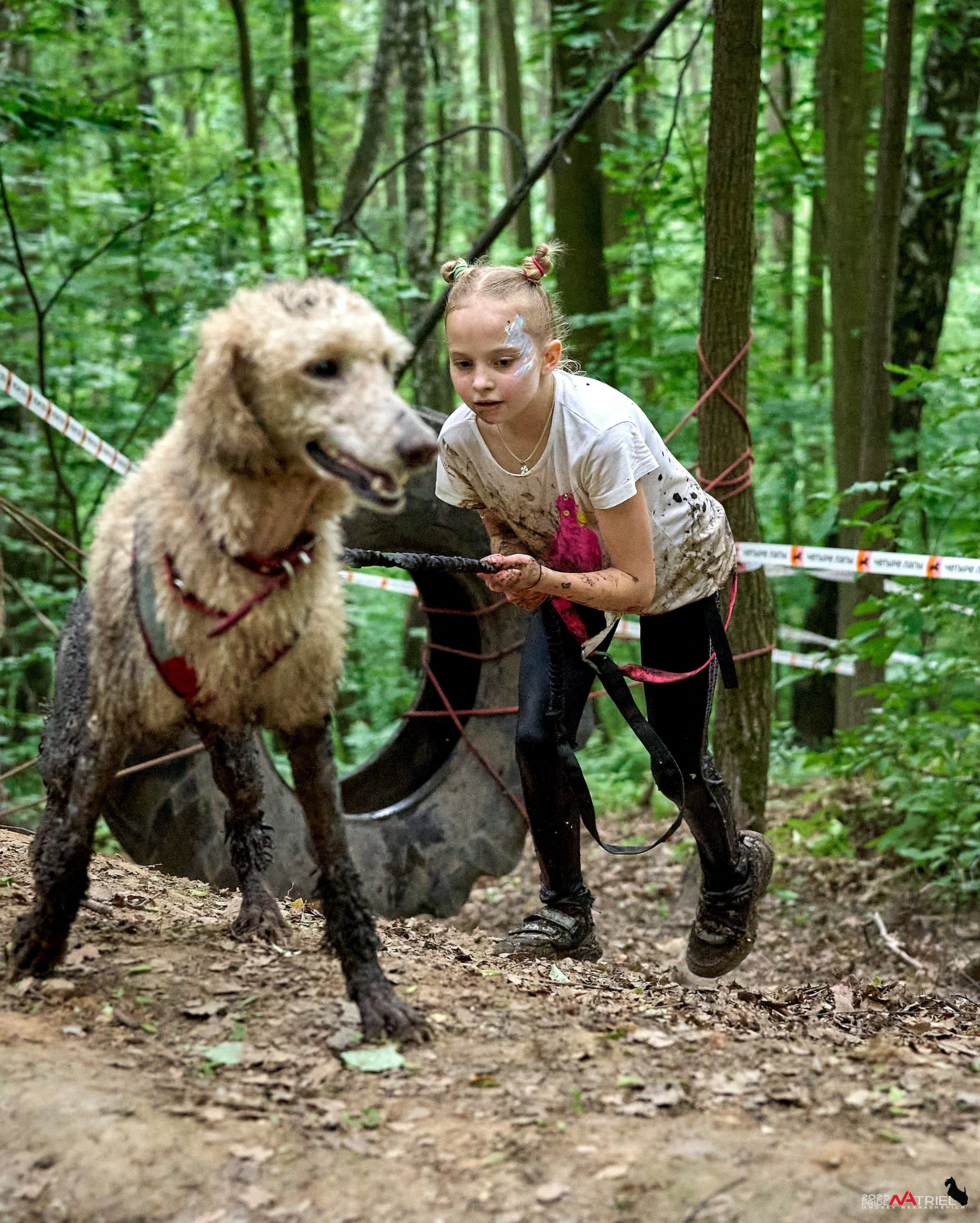 Russian Extreme Dog Trail — 2025