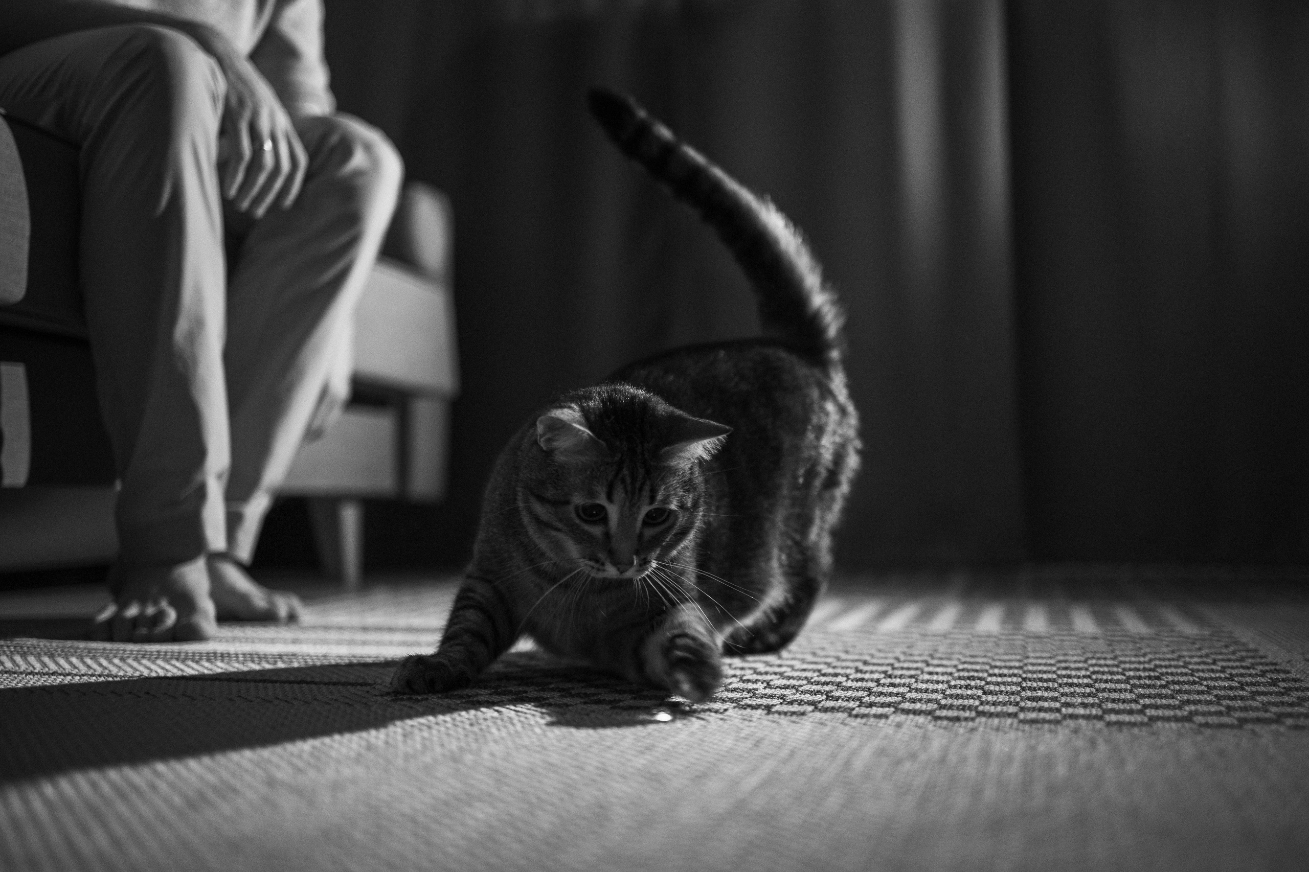 Мася и ее семья. Фотограф — Анималист | Санкт-Петербург