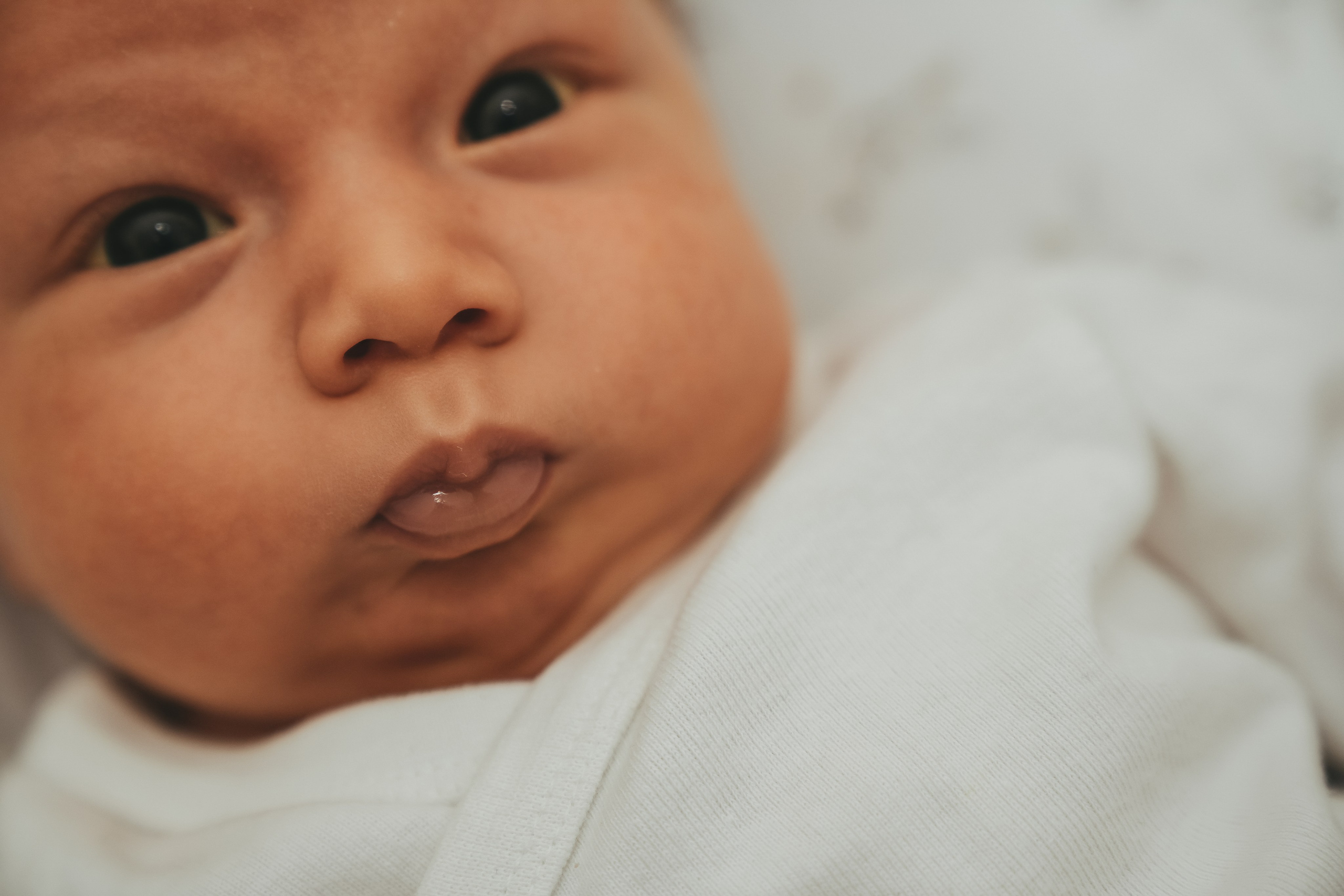 Иван, Мария, Илюша и Майло. Семейный и детский фотограф Плесецк, Мирный Марина Забабурина