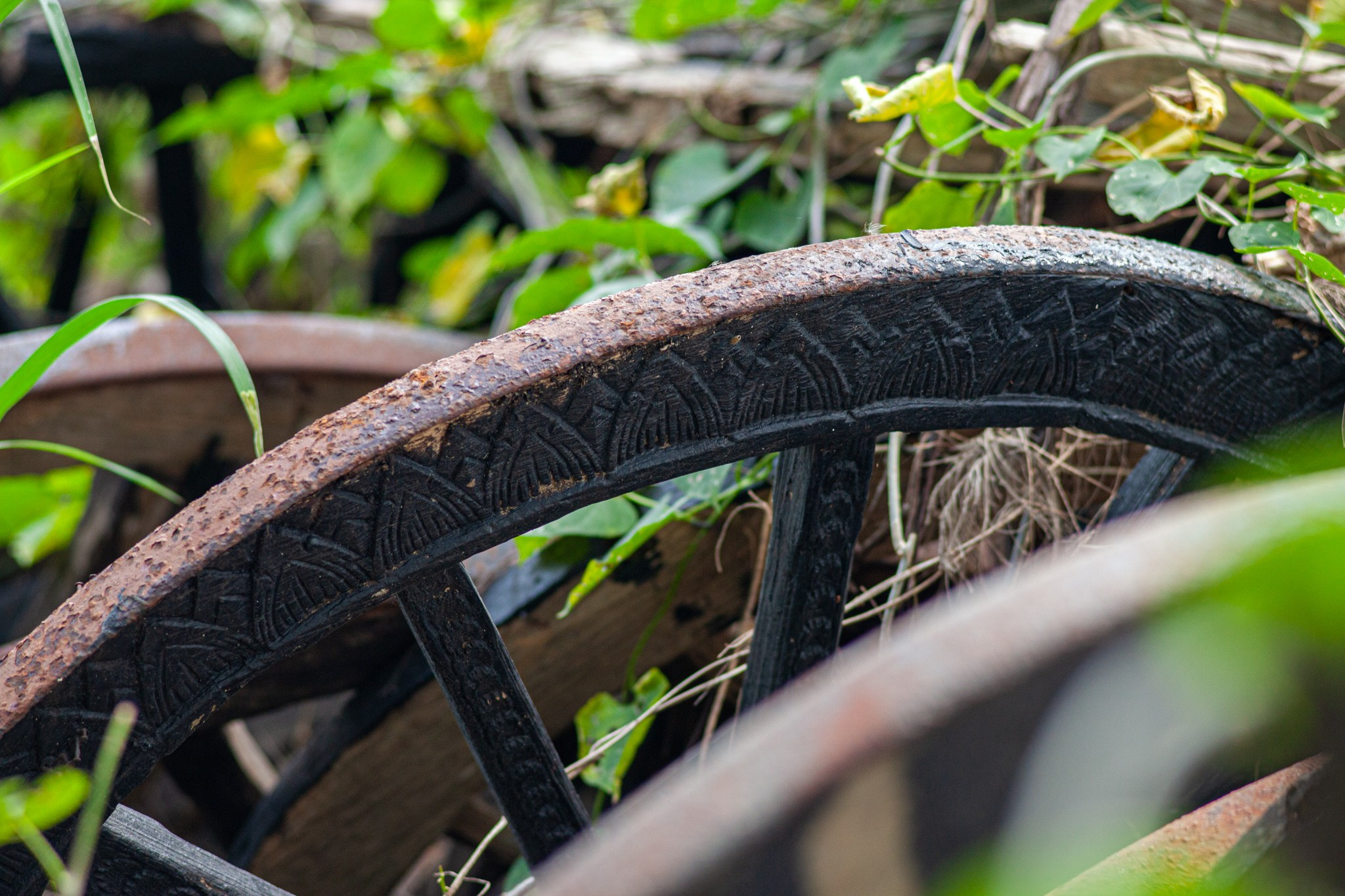 Находка в Таиланде, 2011. Фотограф Василий Буланов