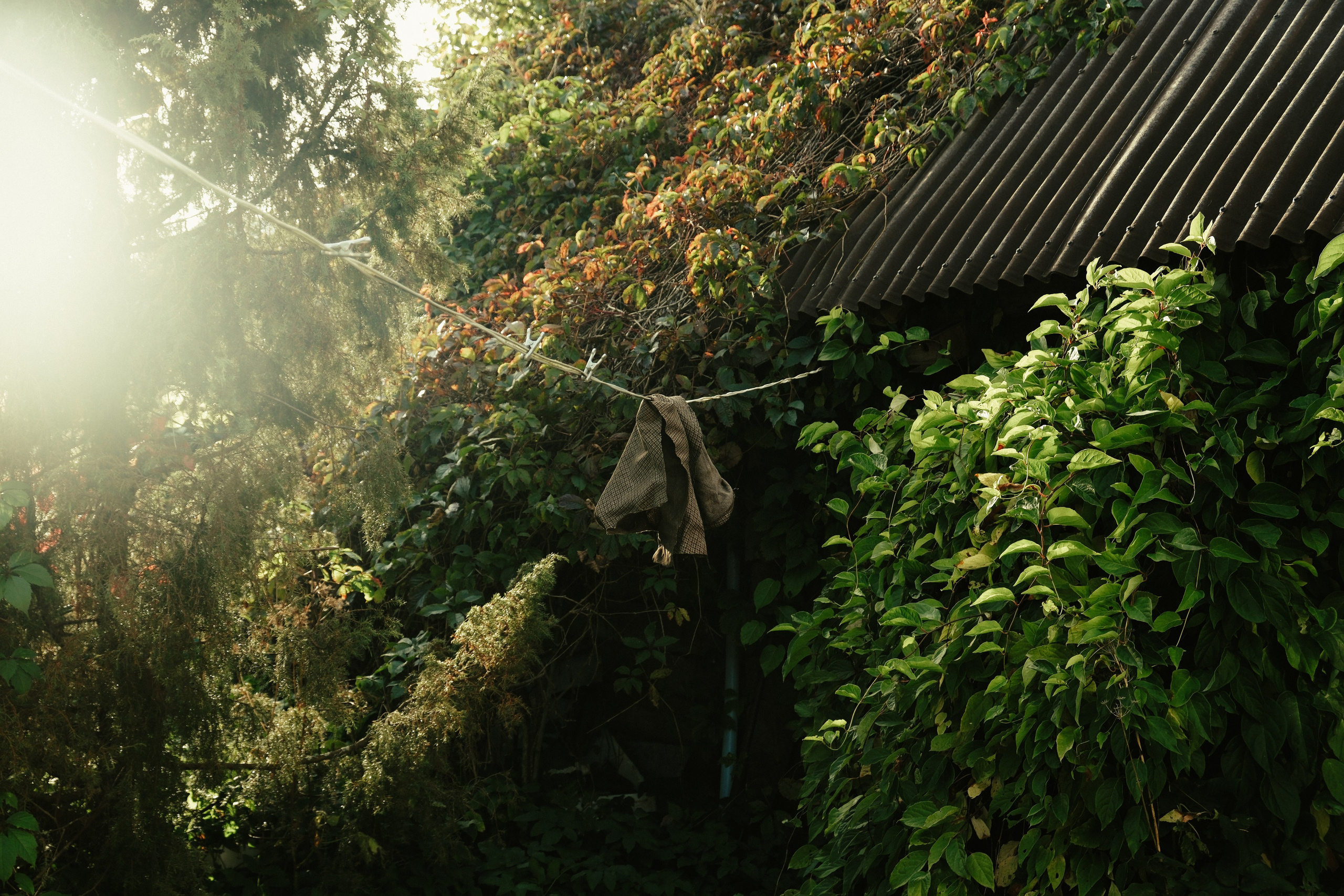 Природа (серия). Фотограф YODLUCE